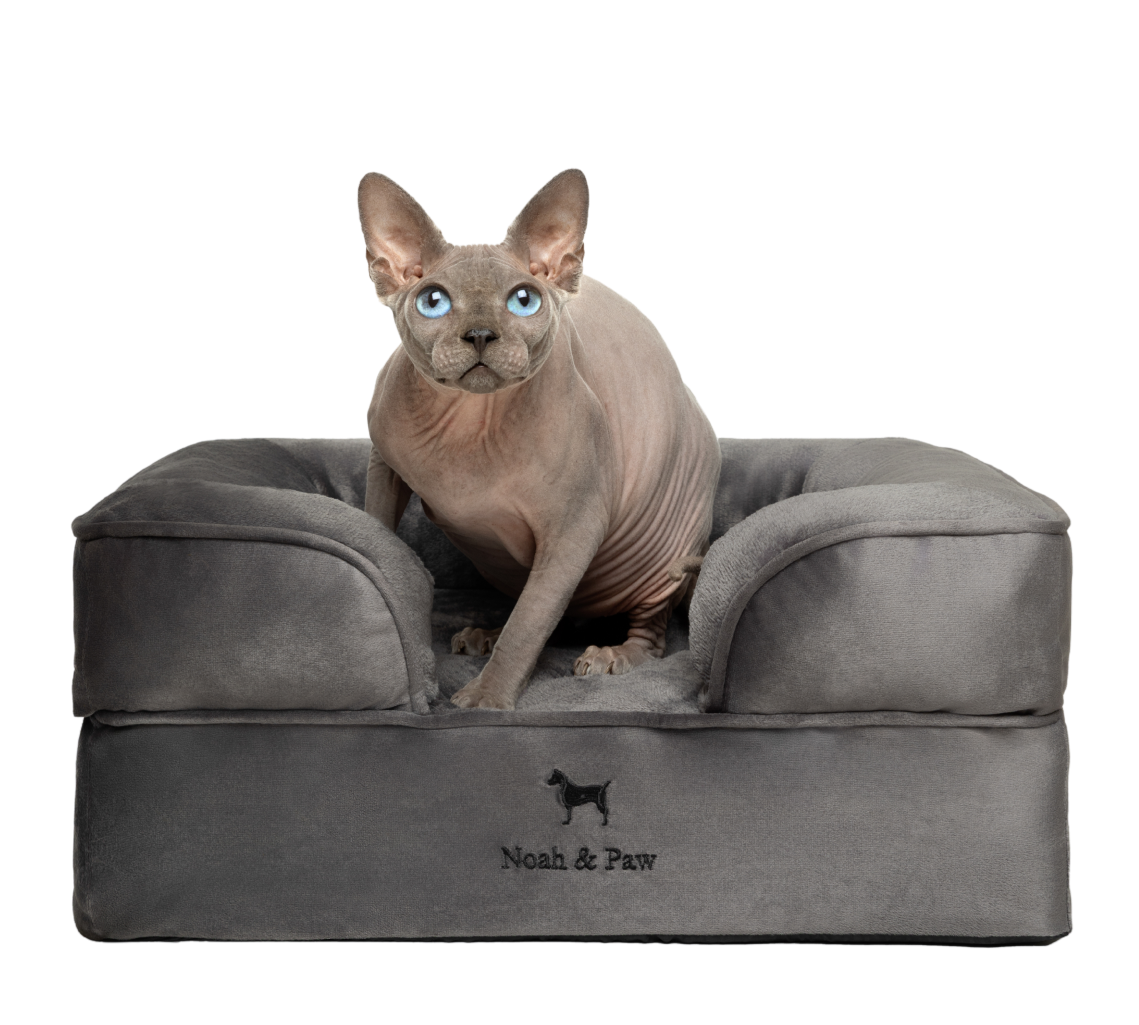 Velvet, Orthopedic Pet Bed, Sofa Style - Grey - S
