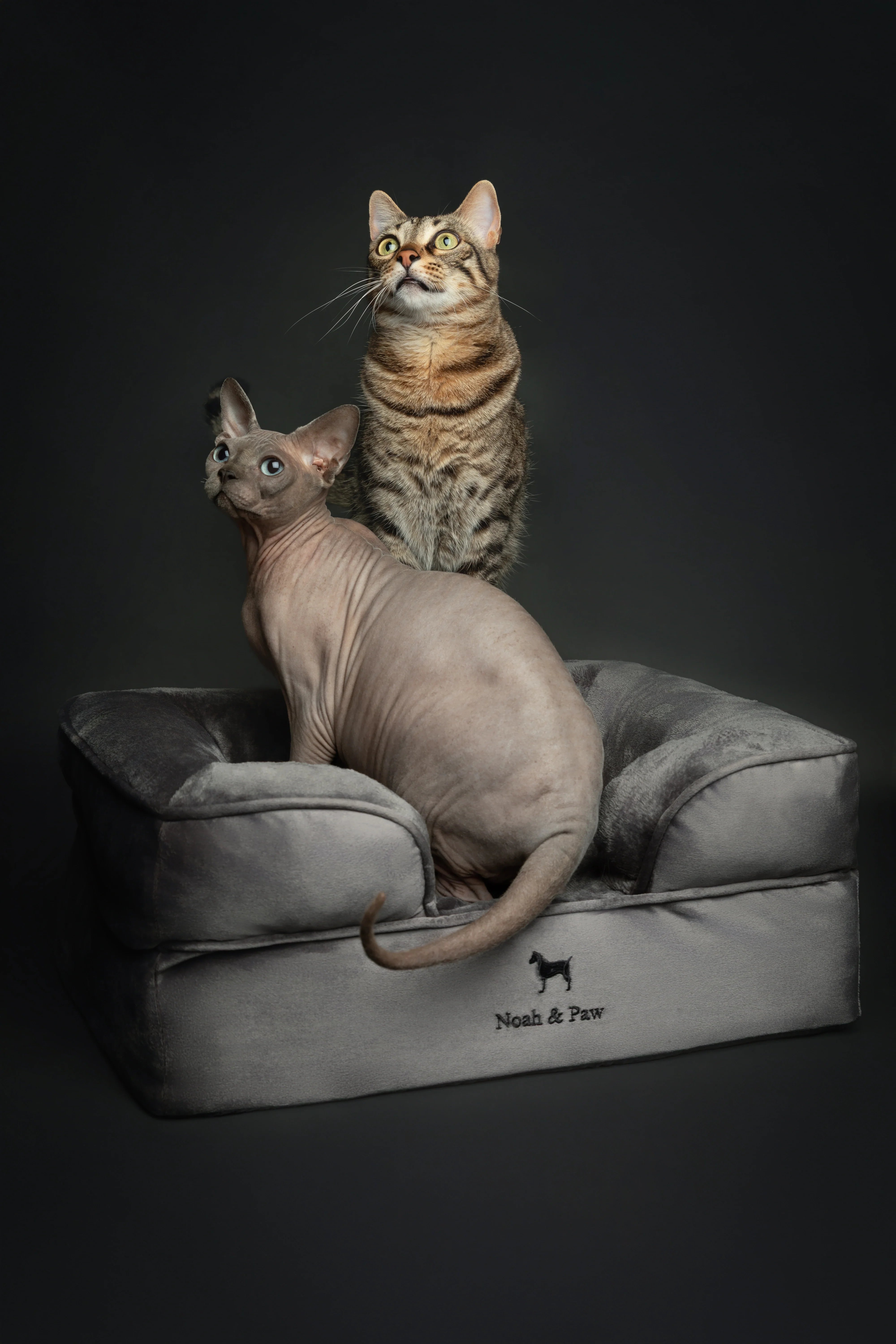 Velvet Orthopedic Pet Bed, Memory Foam, Infused with Cooling Gel