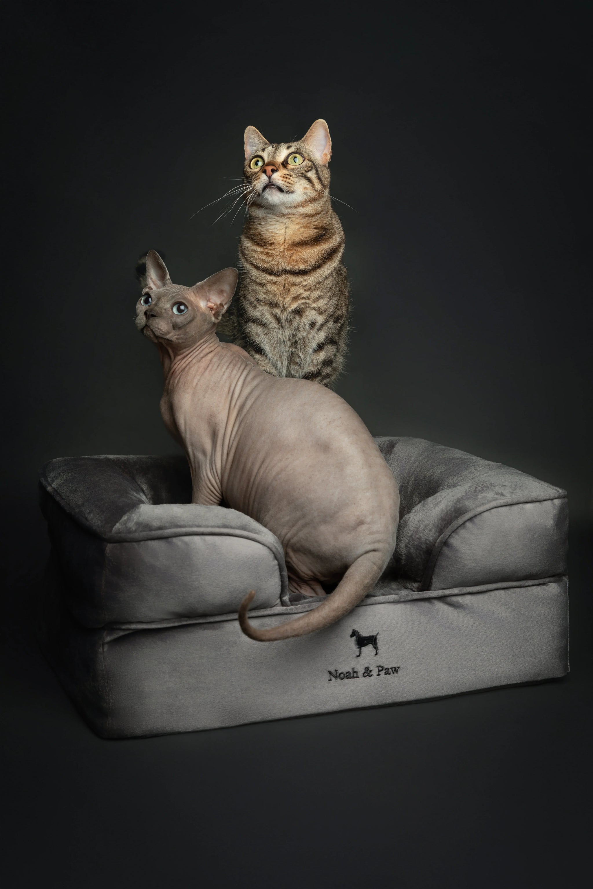 Velvet Orthopedic Pet Bed, Memory Foam, Infused with Cooling Gel