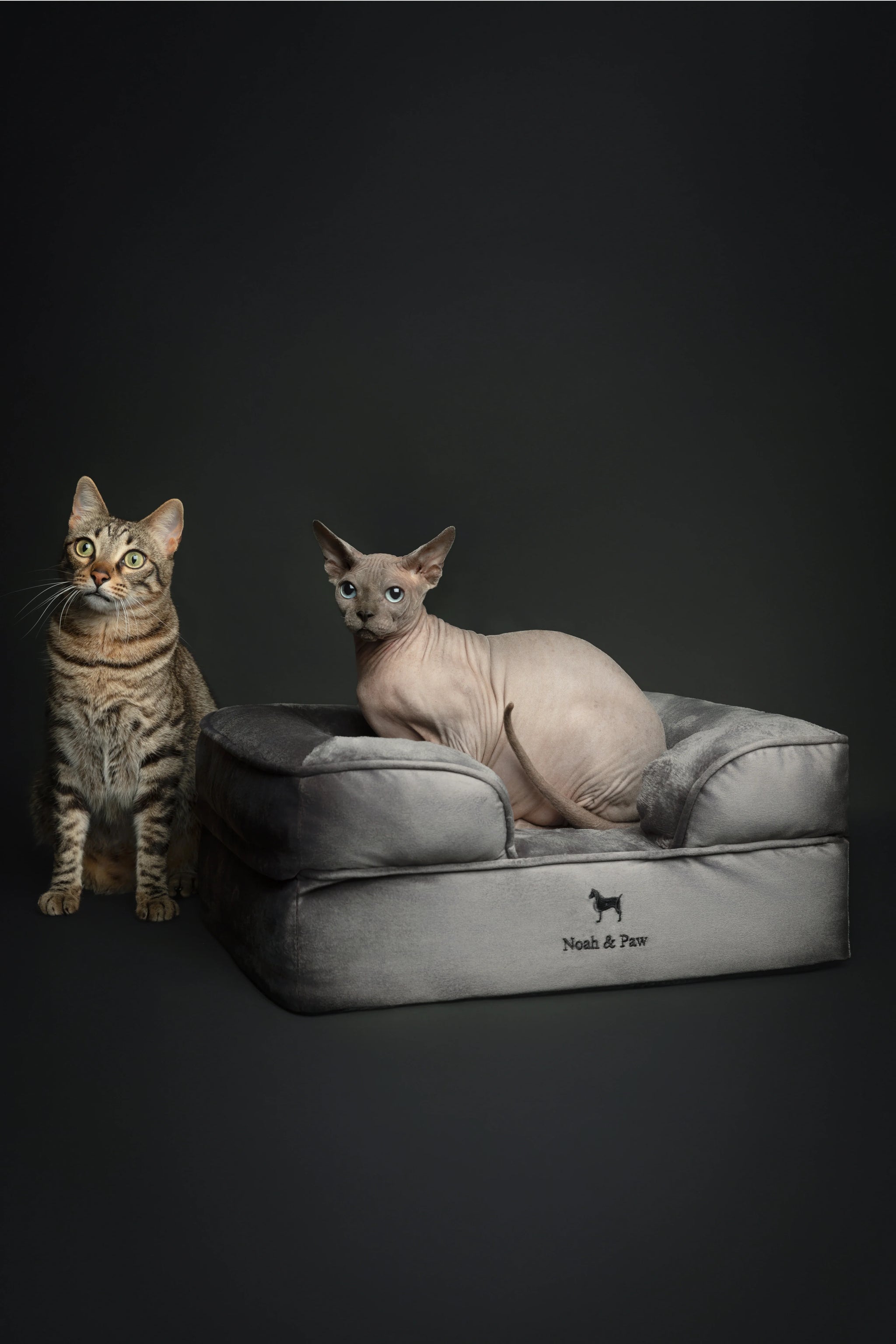 Velvet Orthopedic Pet Bed, Memory Foam, Infused with Cooling Gel
