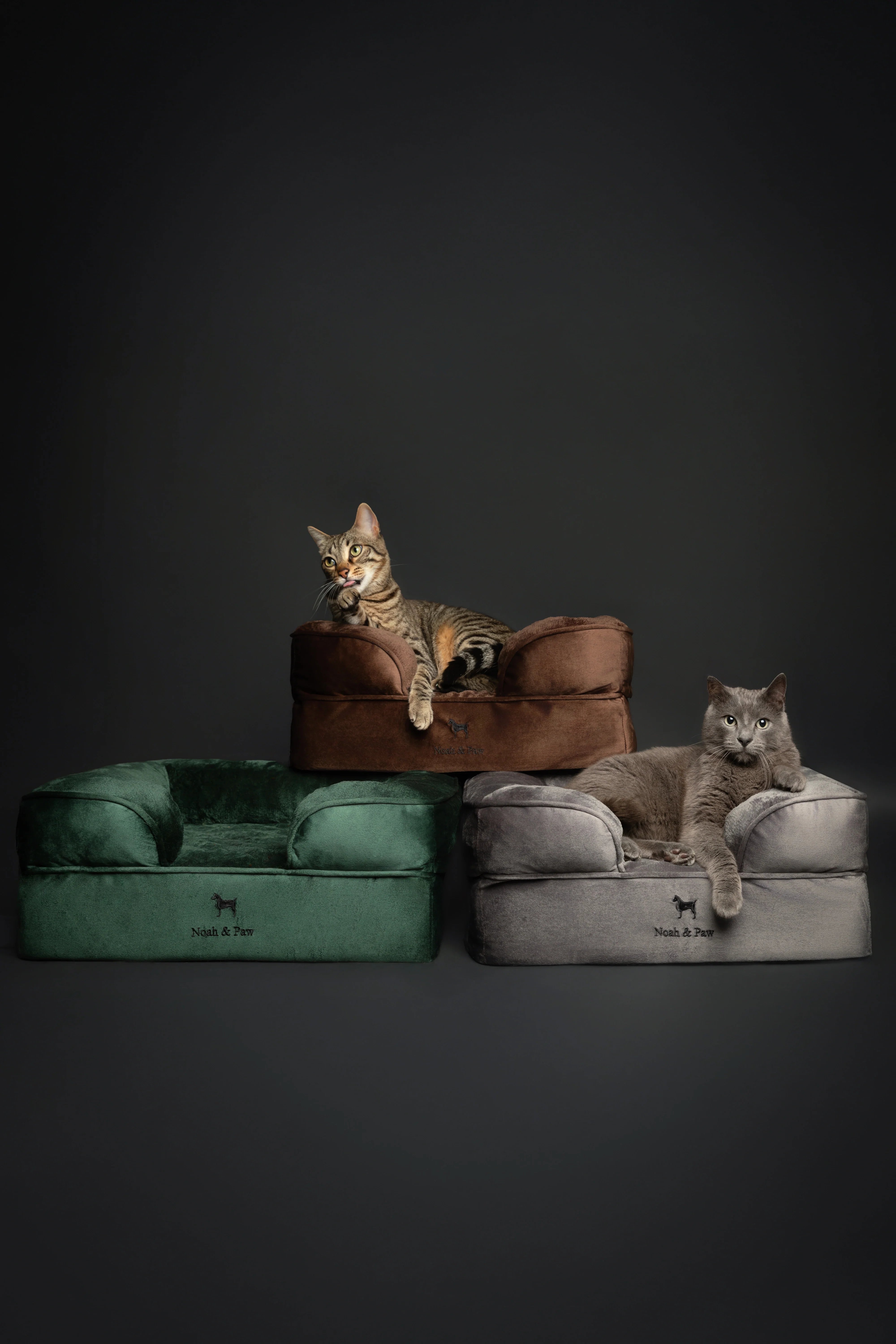Velvet Orthopedic Pet Bed, Memory Foam, Infused with Cooling Gel