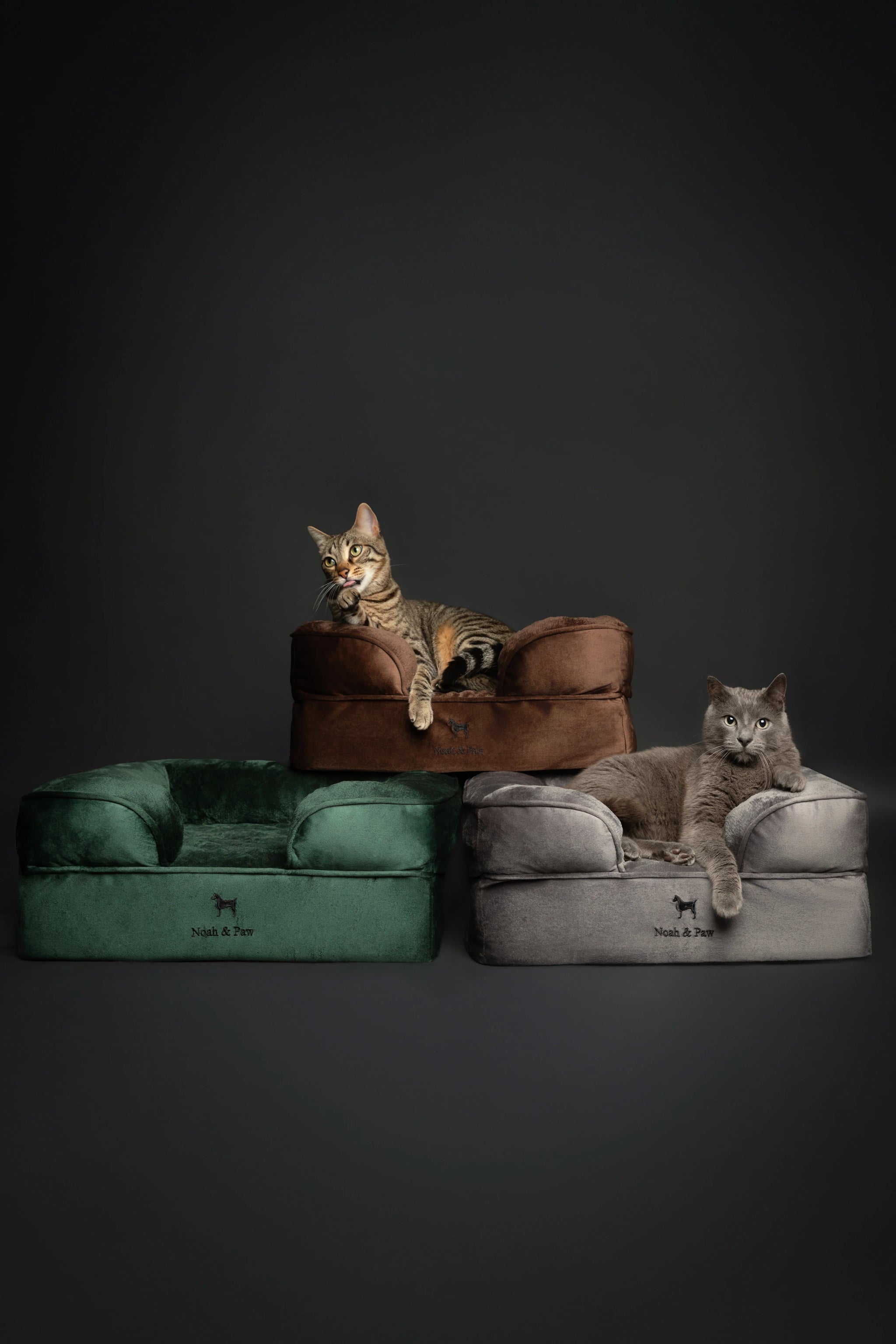 Velvet Orthopedic Pet Bed, Memory Foam, Infused with Cooling Gel