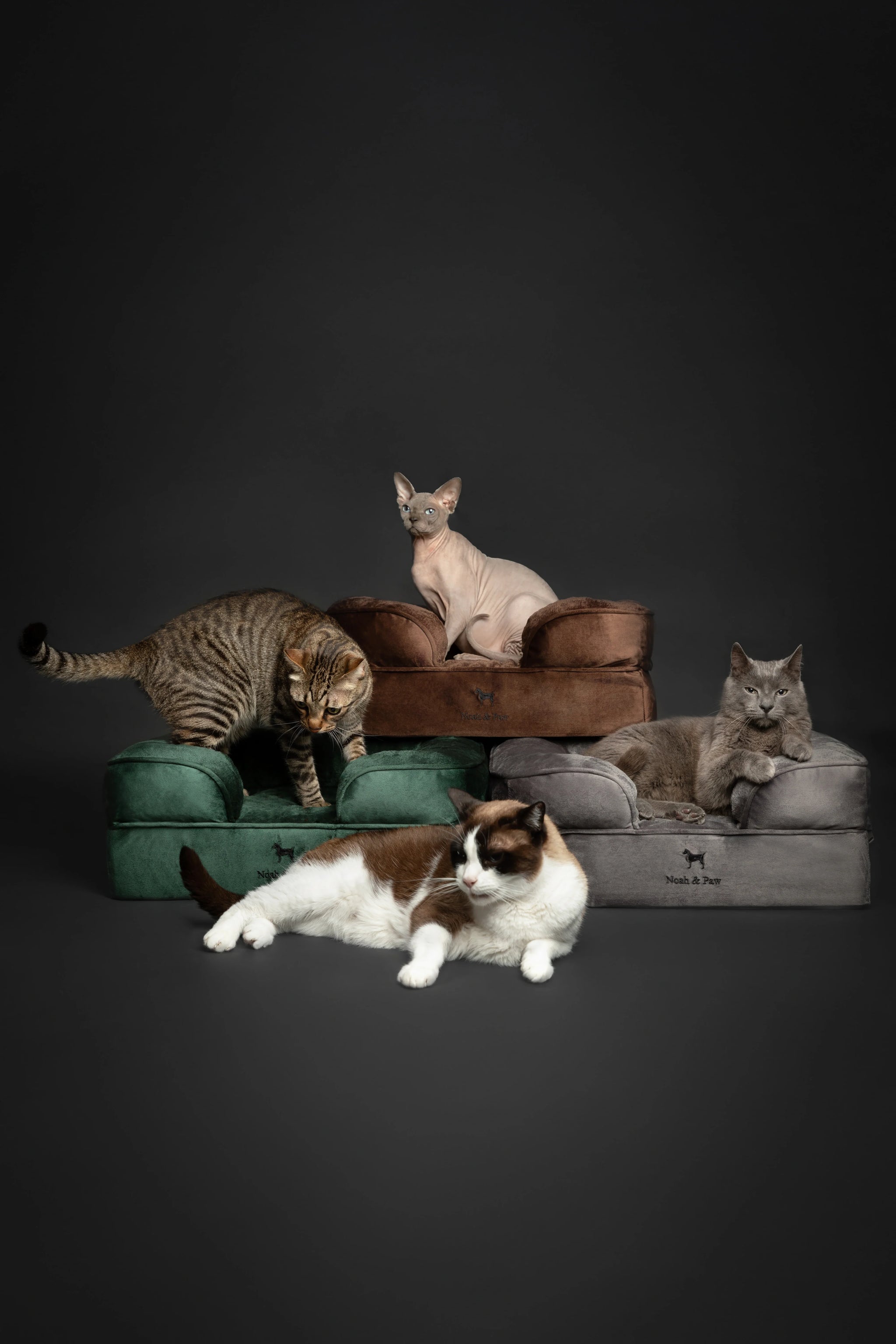 Velvet Orthopedic Pet Bed, Memory Foam, Infused with Cooling Gel