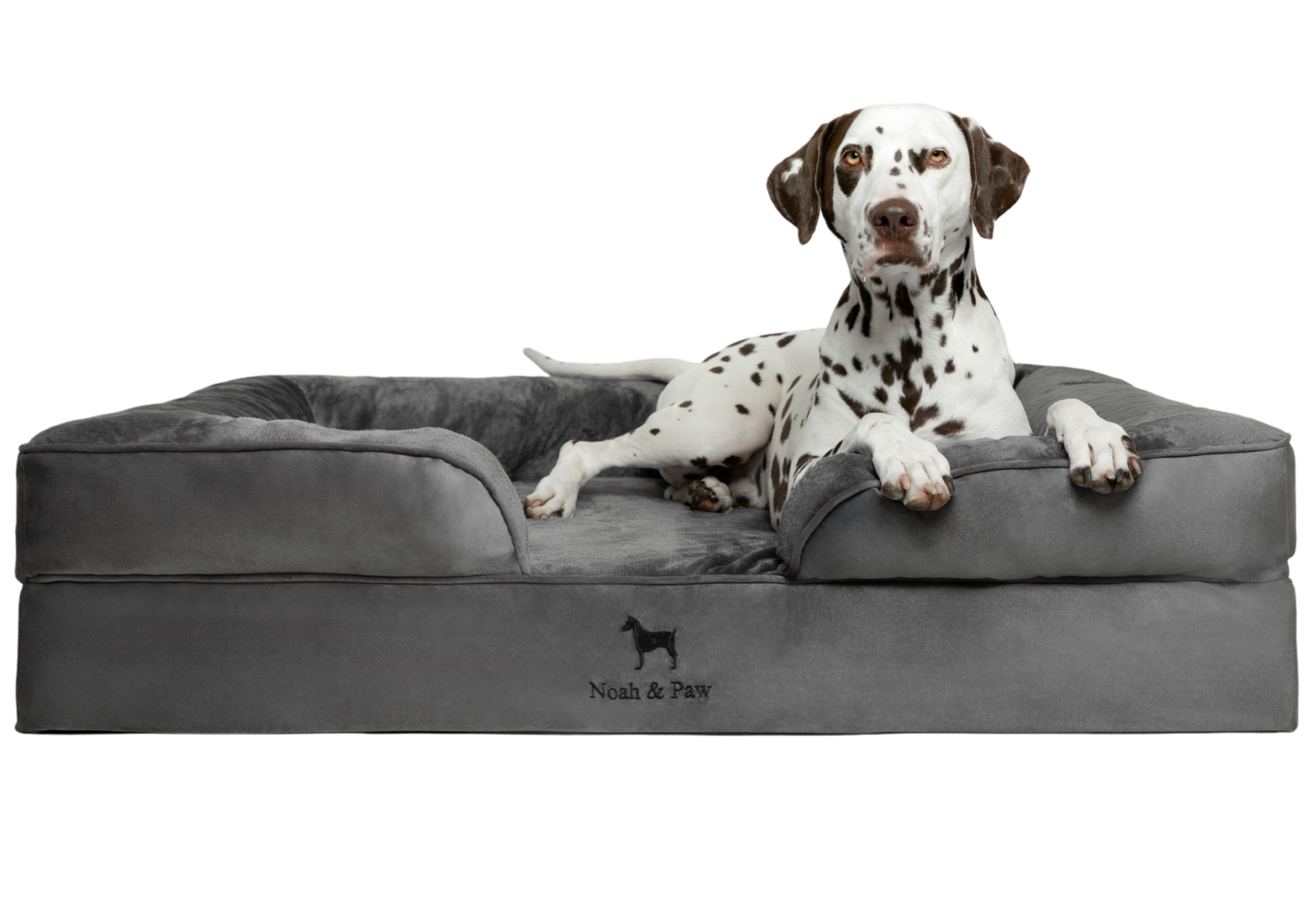 Velvet, Orthopedic Pet Bed, Sofa Style - Grey - XL