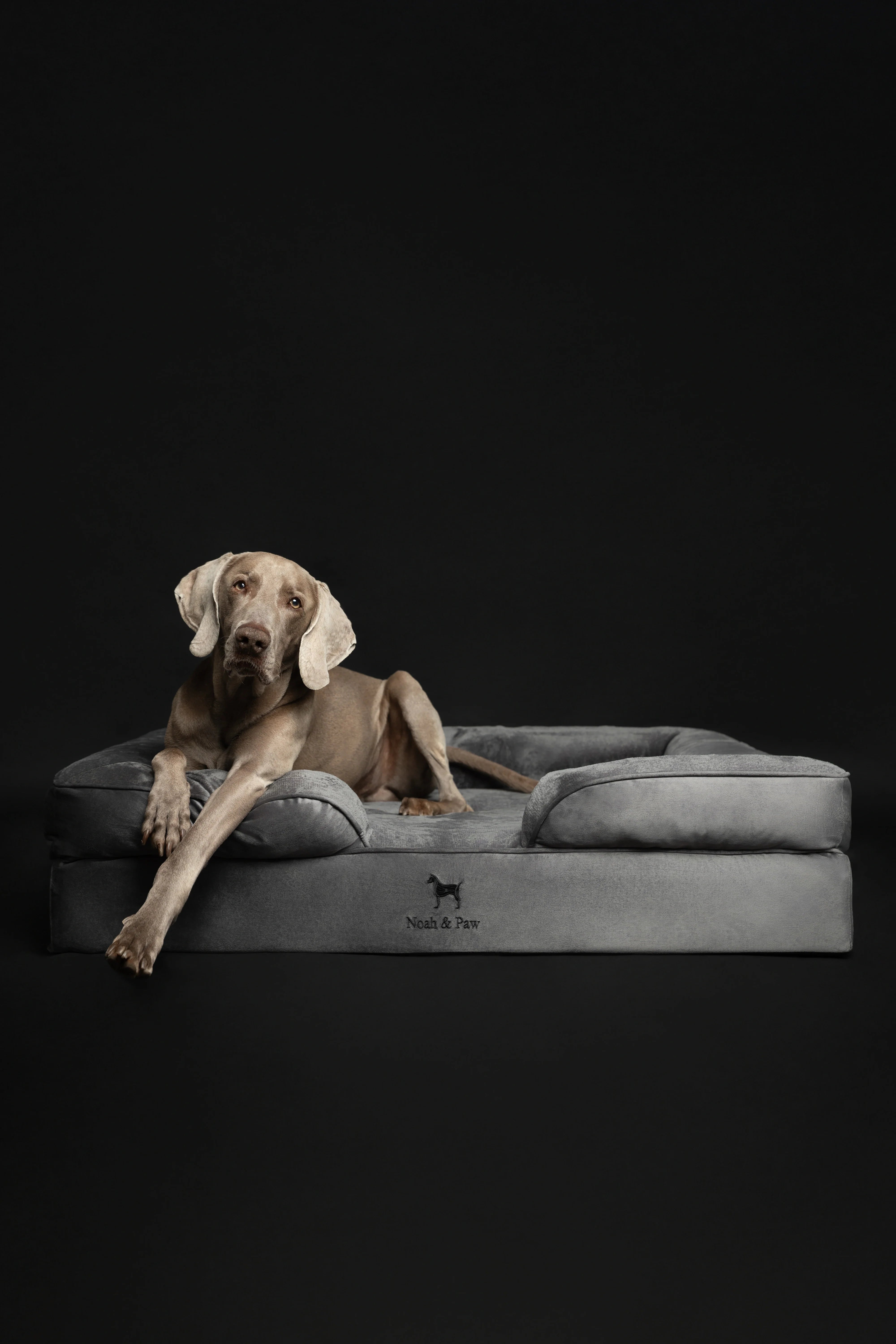 Velvet Orthopedic Pet Bed, Memory Foam, Infused with Cooling Gel