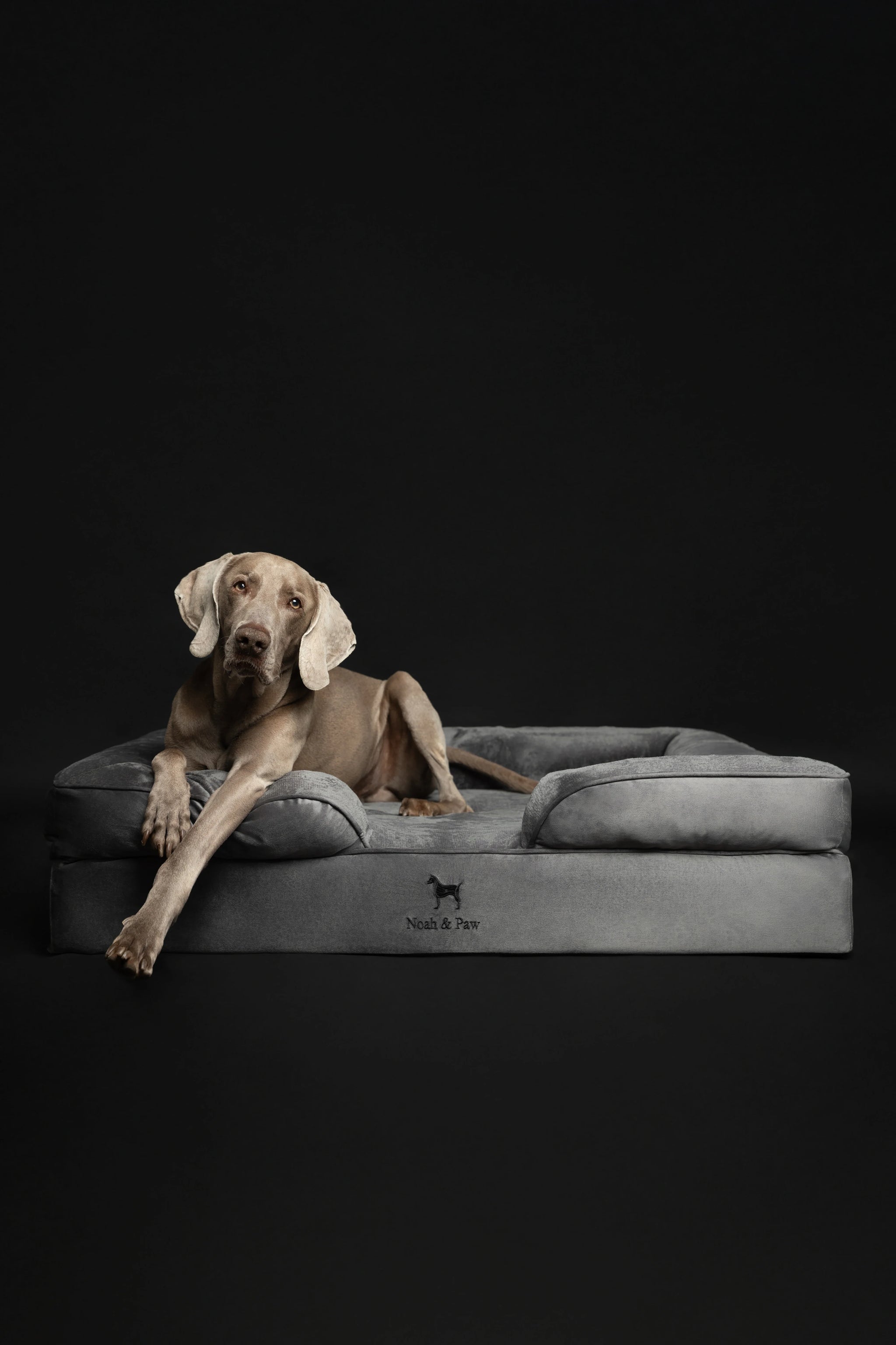 Velvet Orthopedic Pet Bed, Memory Foam, Infused with Cooling Gel