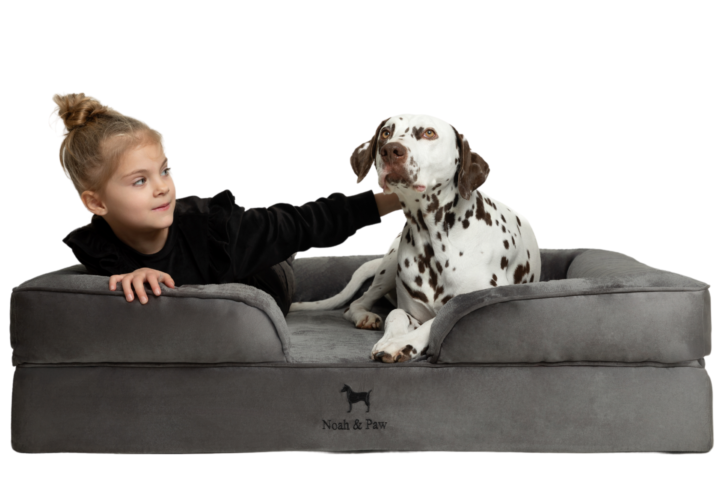 Velvet, Orthopedic Pet Bed, Sofa Style - Grey - XXL