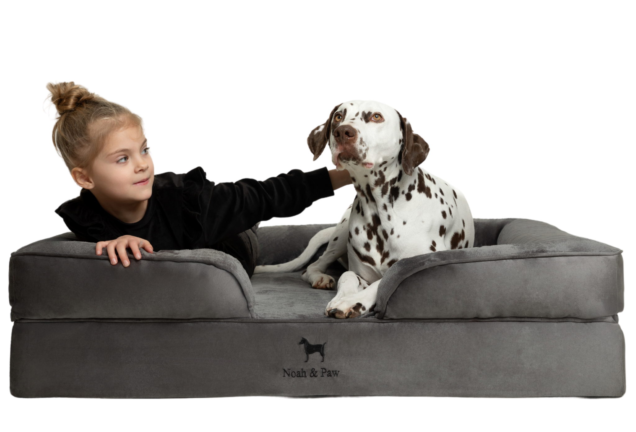 Velvet, Orthopedic Pet Bed, Sofa Style - Grey - XXL