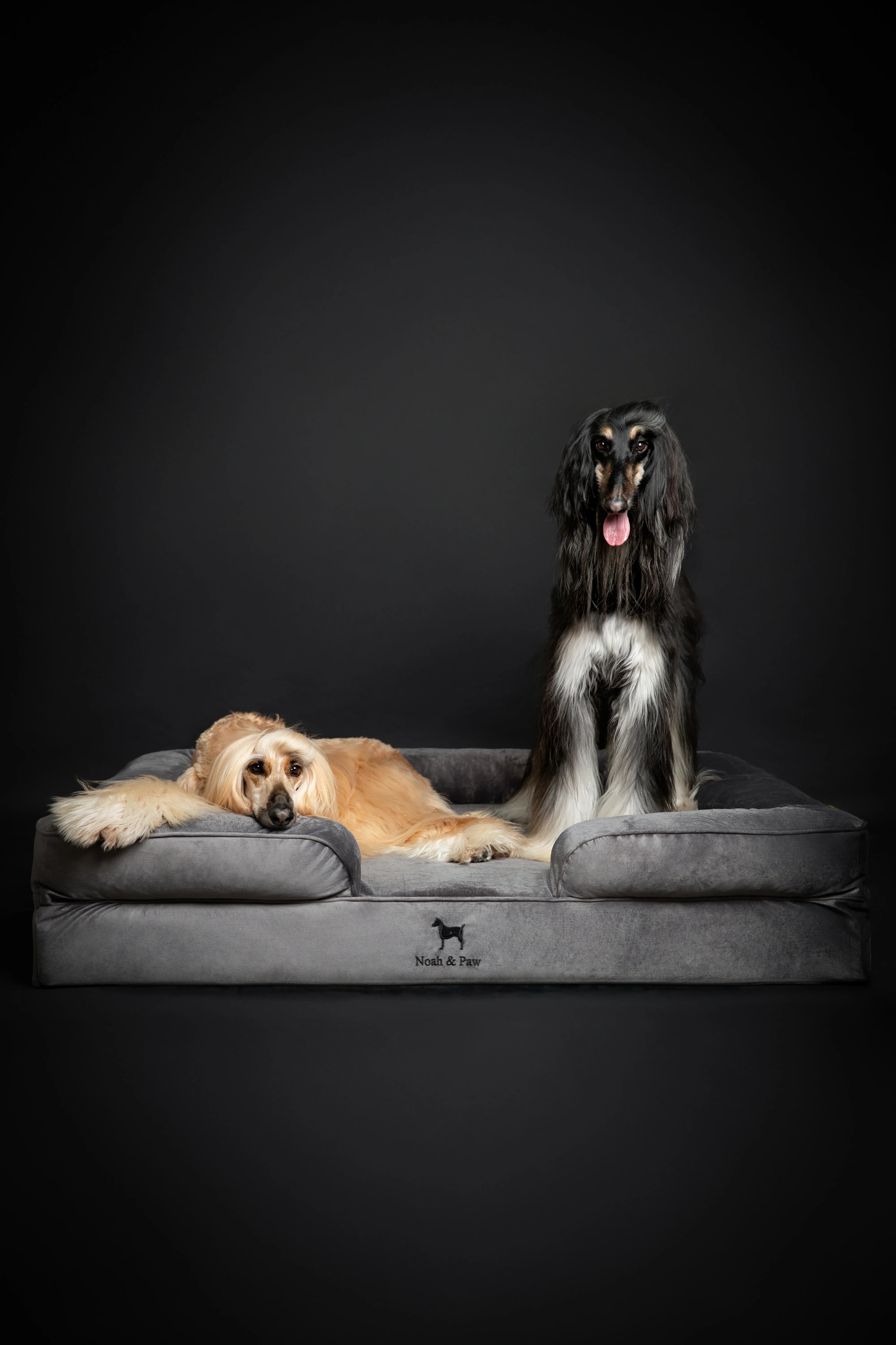 Velvet Orthopedic Pet Bed, Memory Foam, Infused with Cooling Gel