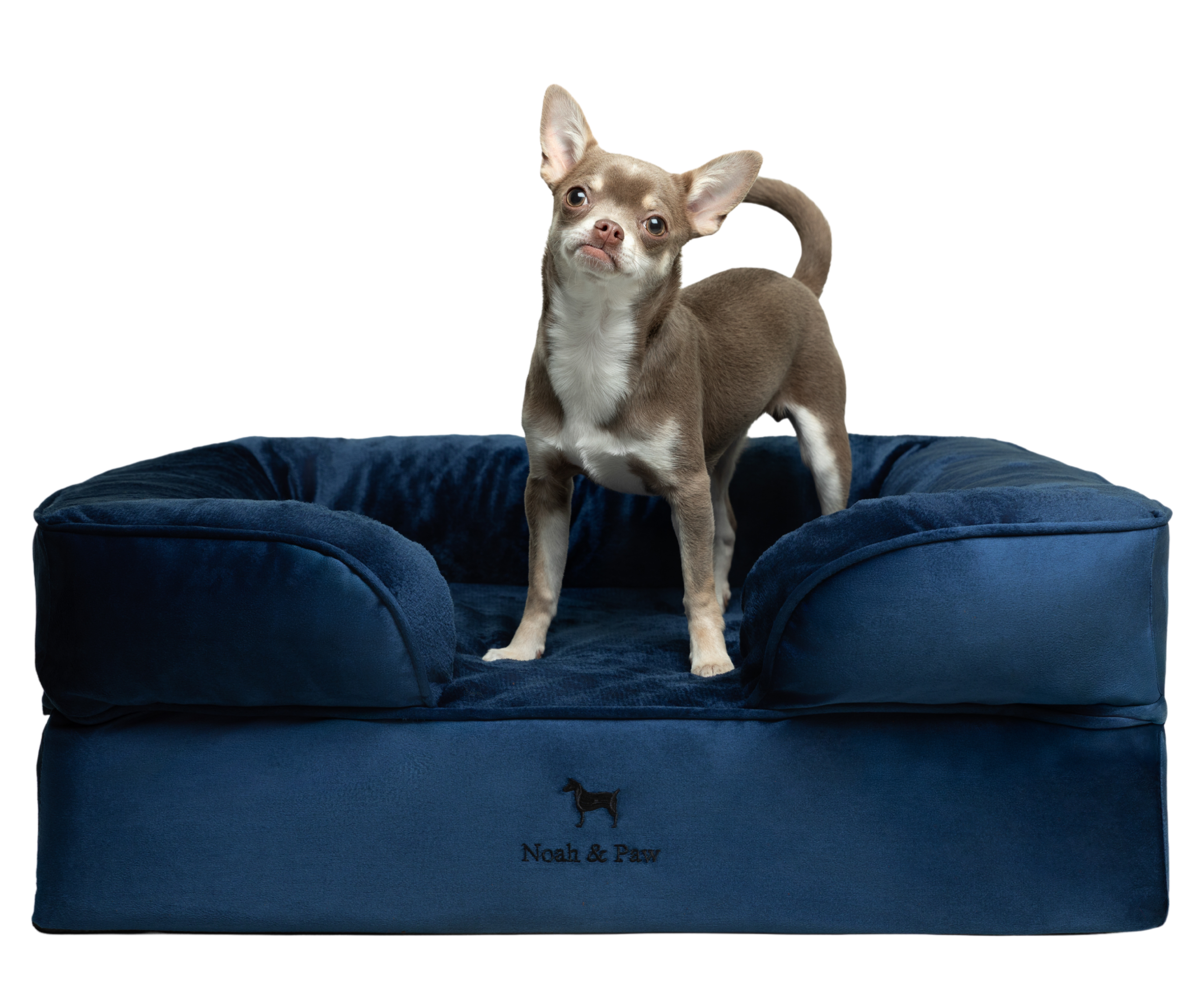 Velvet, Orthopedic Pet Bed, Sofa Style - Navy Blue - M