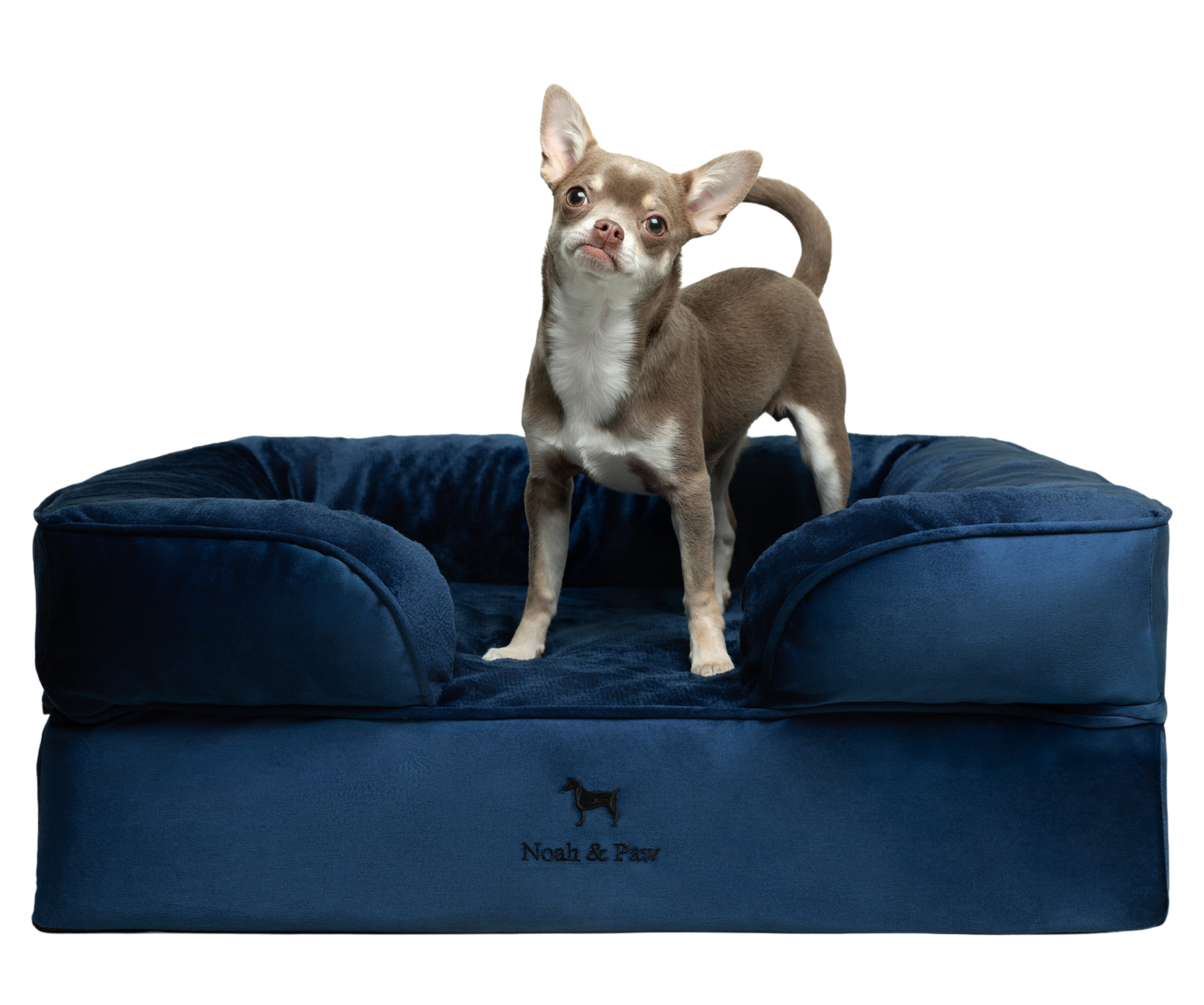 Velvet, Orthopedic Pet Bed, Sofa Style - Navy Blue - M