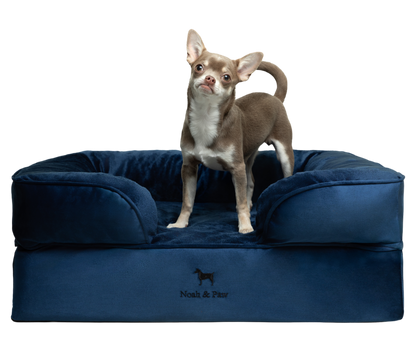 Velvet, Orthopedic Pet Bed, Sofa Style - Navy Blue - M