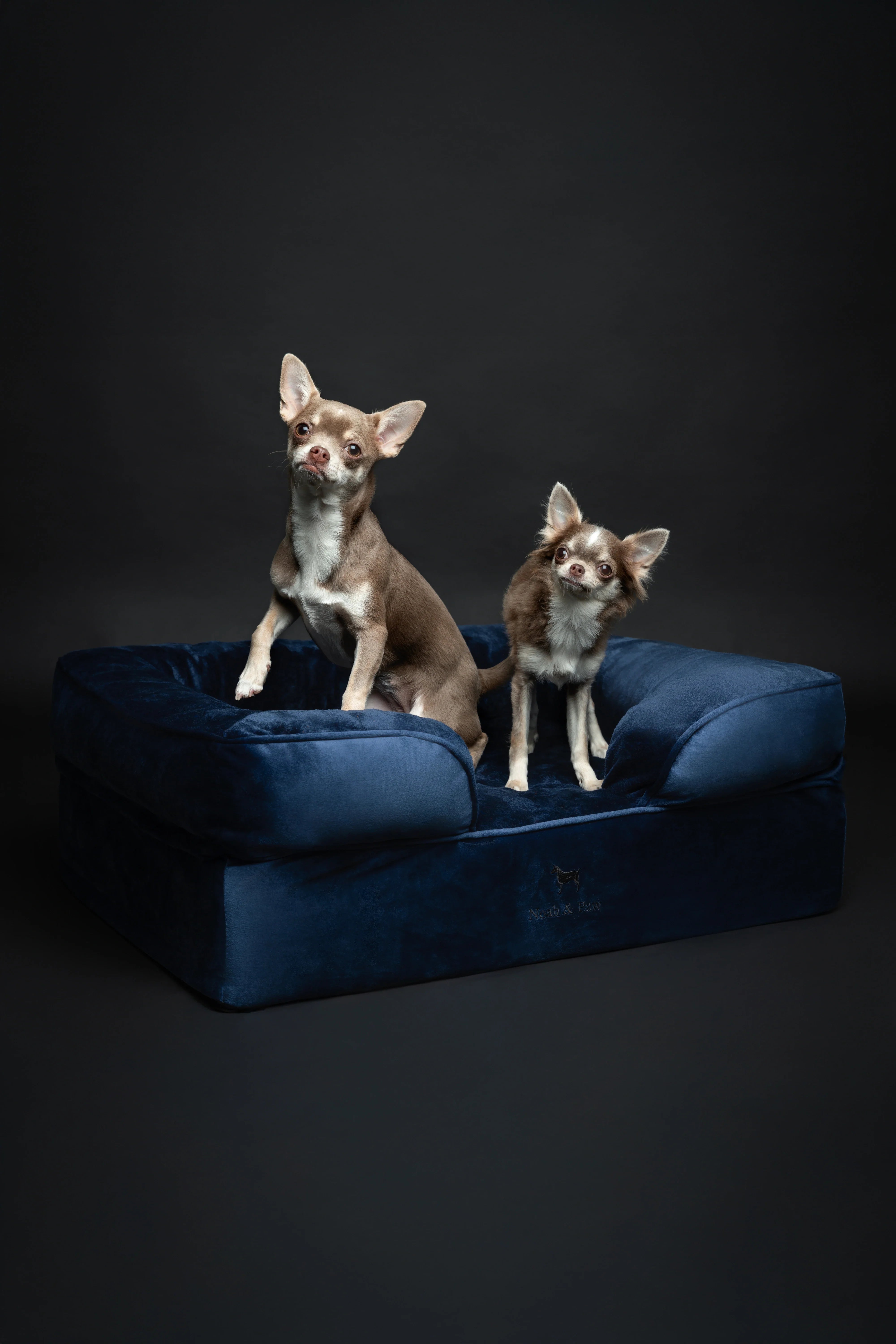 Velvet Orthopedic Pet Bed, Memory Foam, Infused with Cooling Gel