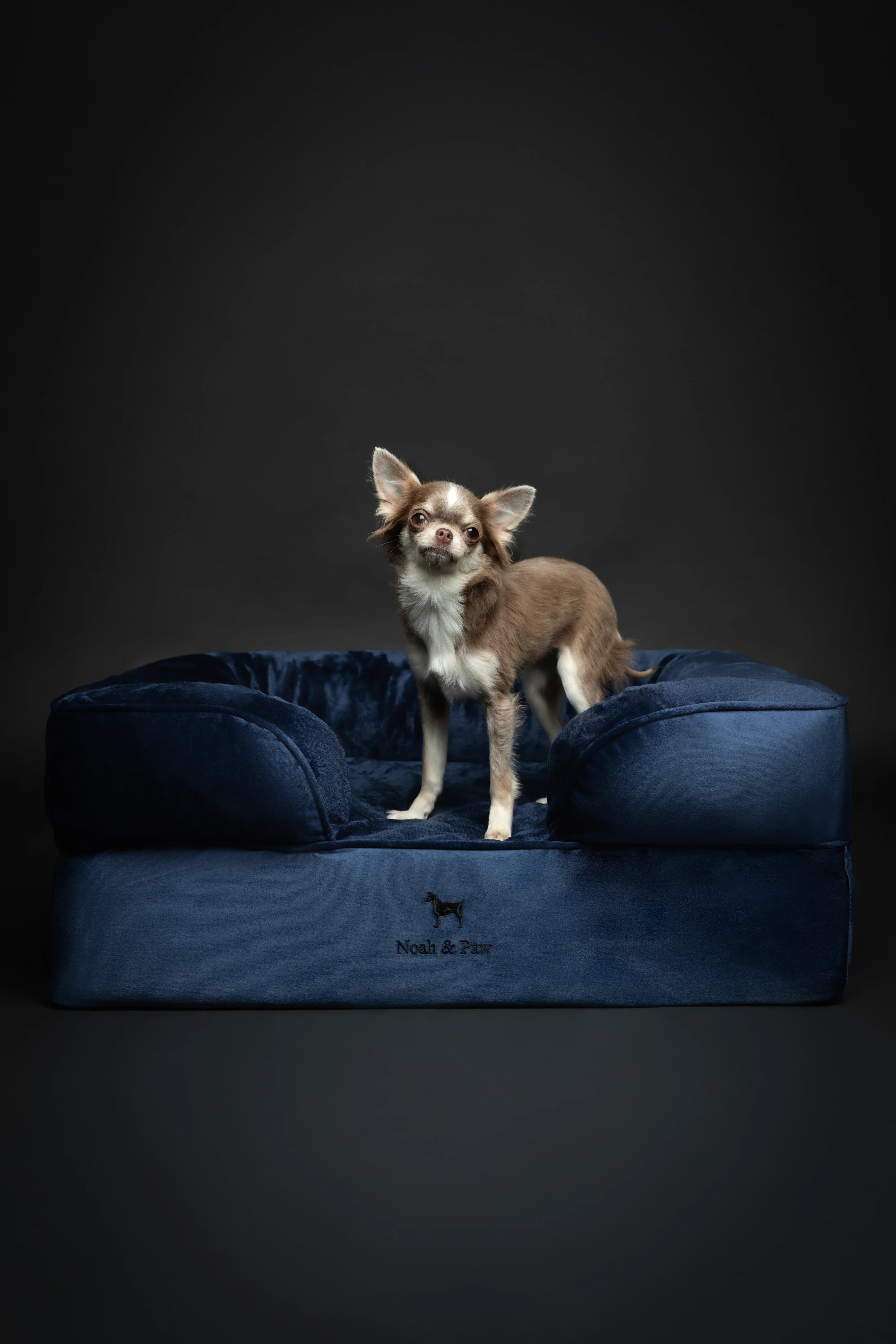 Velvet Orthopedic Pet Bed, Memory Foam, Infused with Cooling Gel