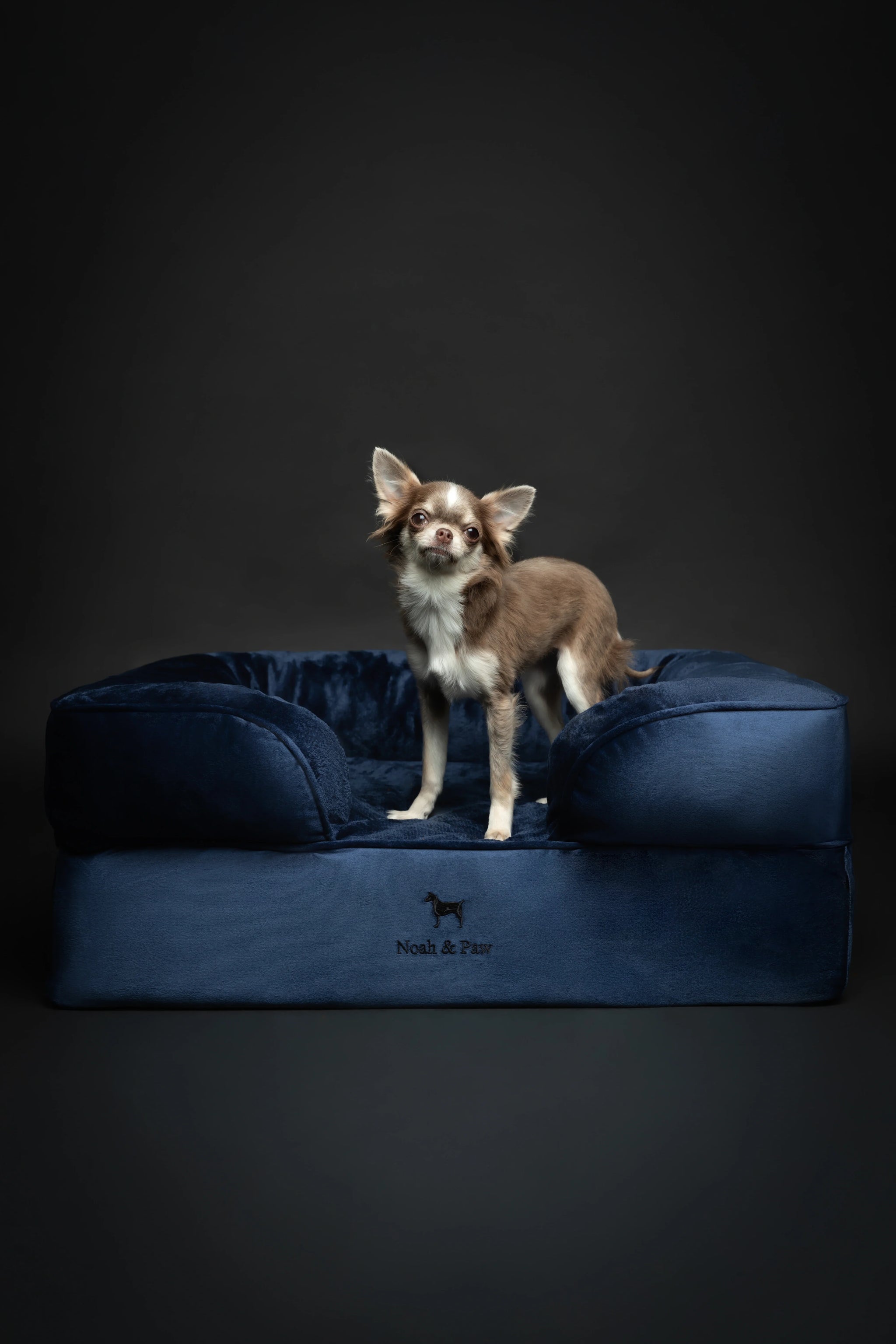 Velvet Orthopedic Pet Bed, Memory Foam, Infused with Cooling Gel