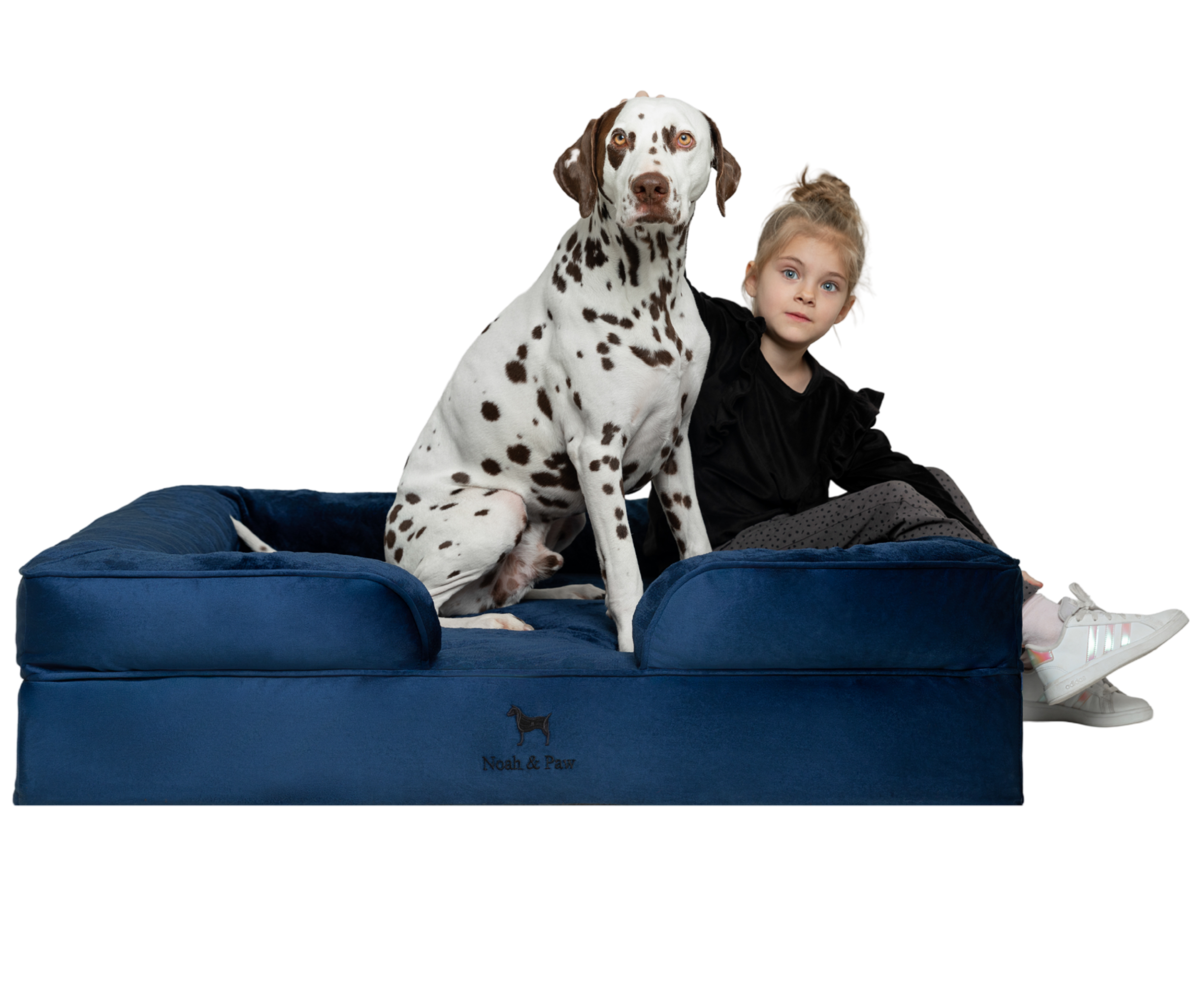 Velvet, Orthopedic Pet Bed, Sofa Style - Navy Blue - XL