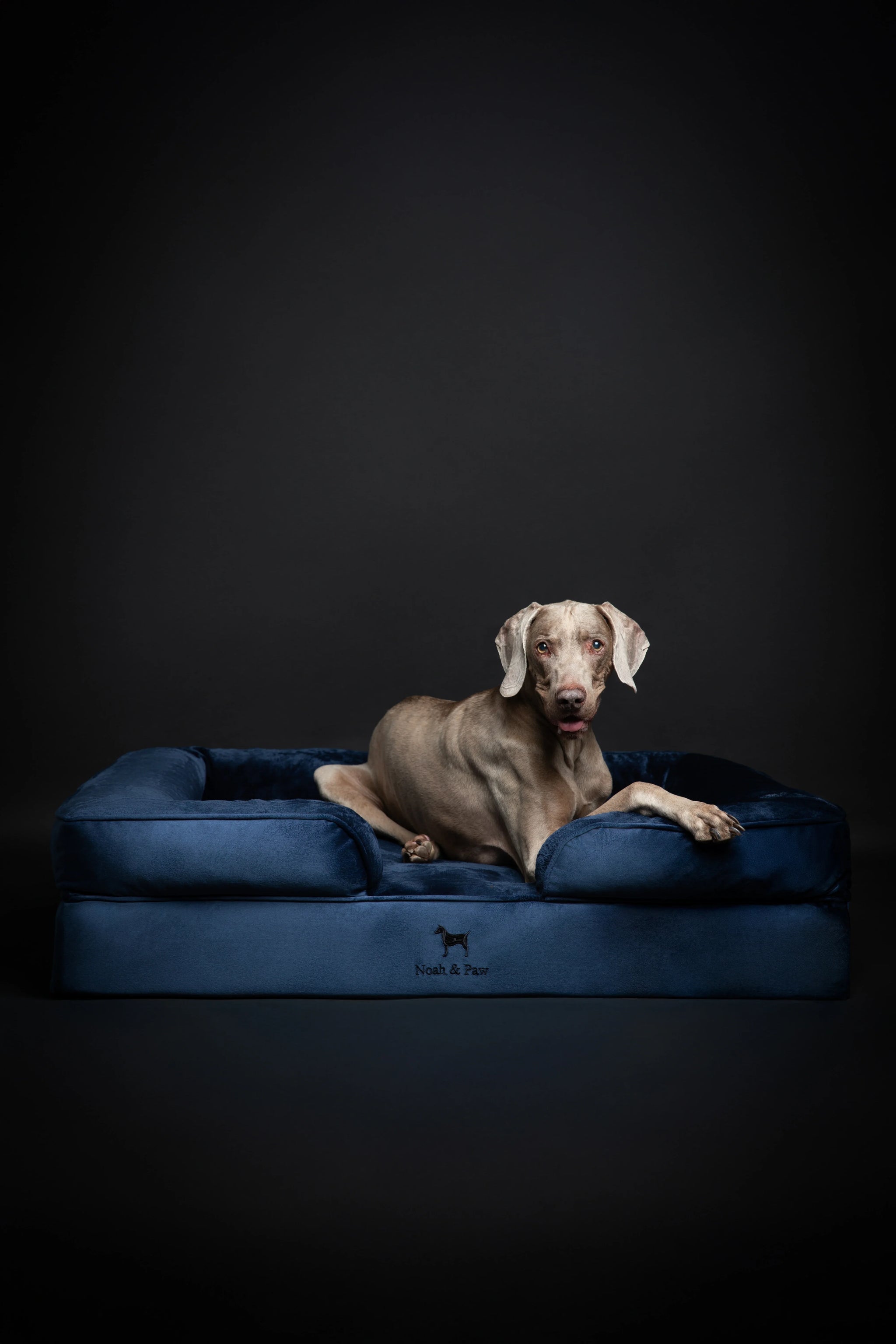 Velvet Orthopedic Pet Bed, Memory Foam, Infused with Cooling Gel