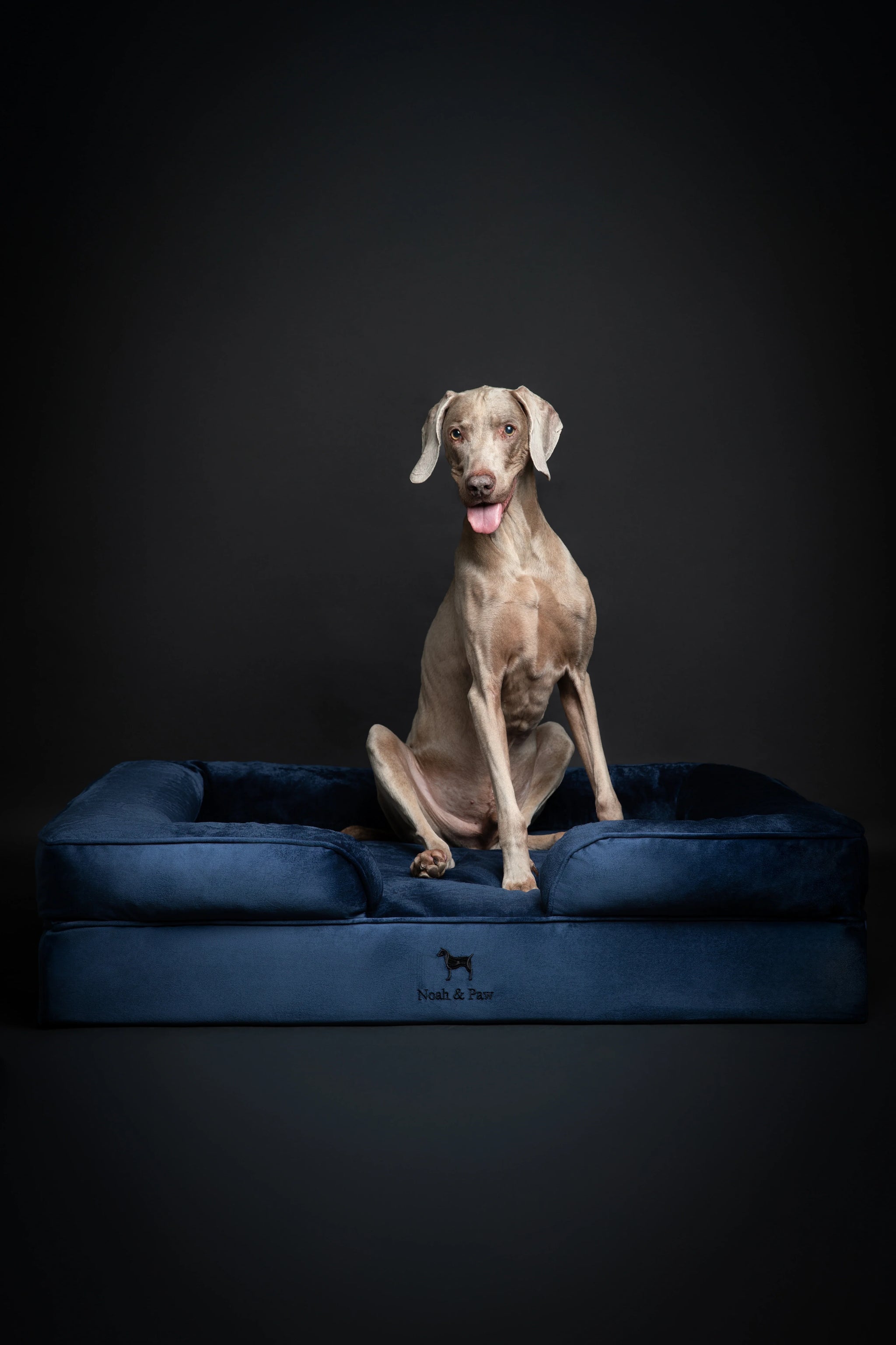 Velvet Orthopedic Pet Bed, Memory Foam, Infused with Cooling Gel