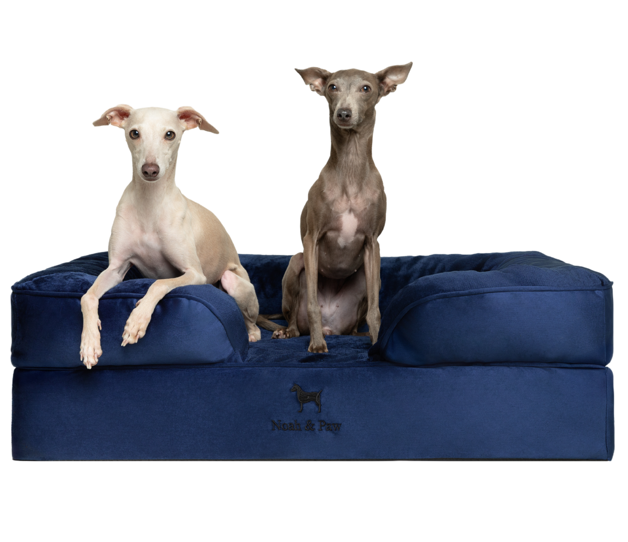 Velvet, Orthopedic Pet Bed, Sofa Style - Navy Blue - L