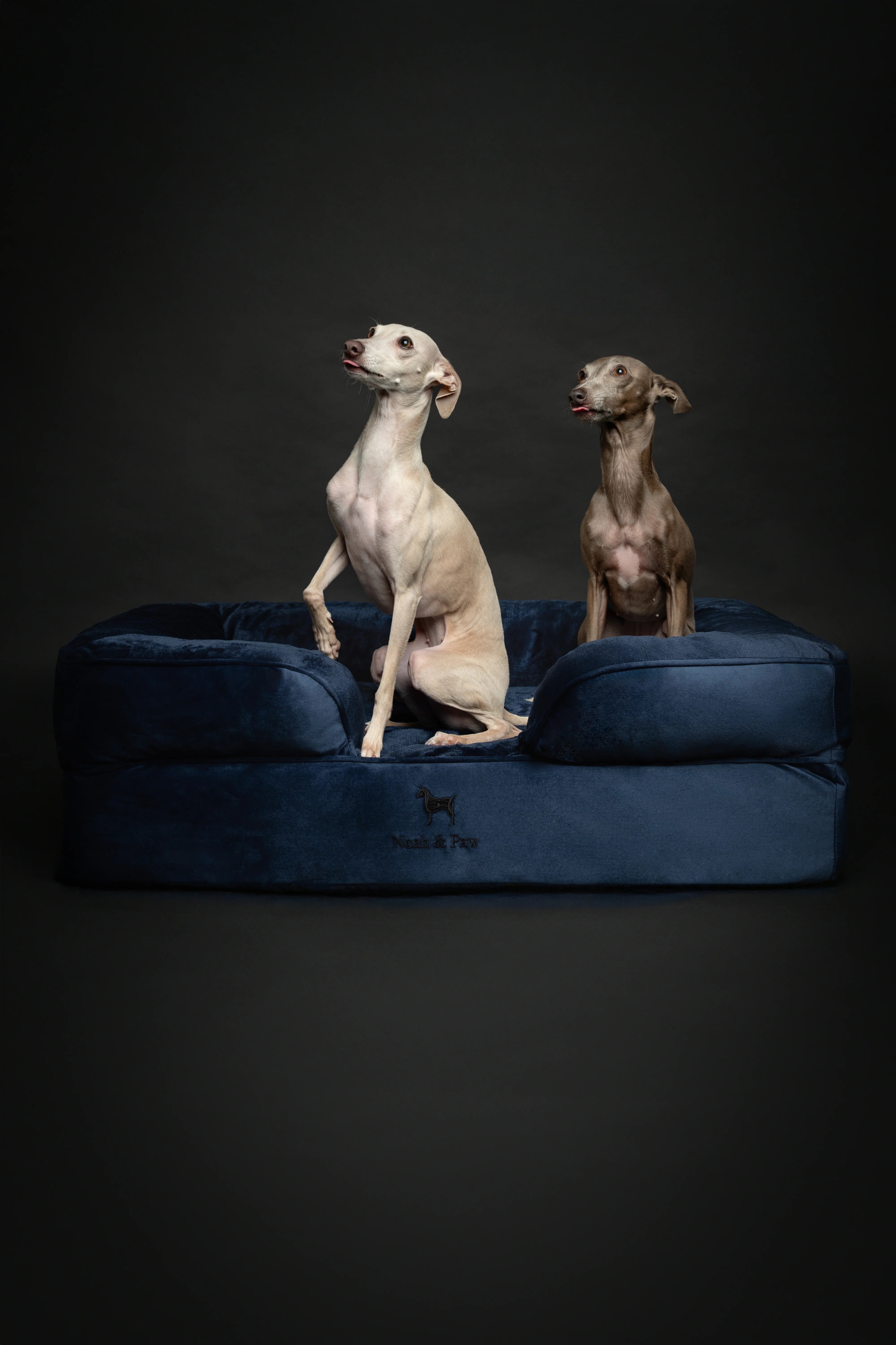 Velvet Orthopedic Pet Bed, Memory Foam, Infused with Cooling Gel