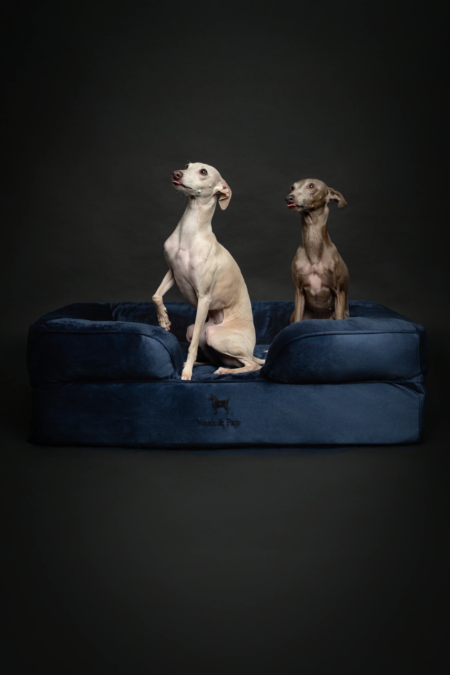 Velvet Orthopedic Pet Bed, Memory Foam, Infused with Cooling Gel