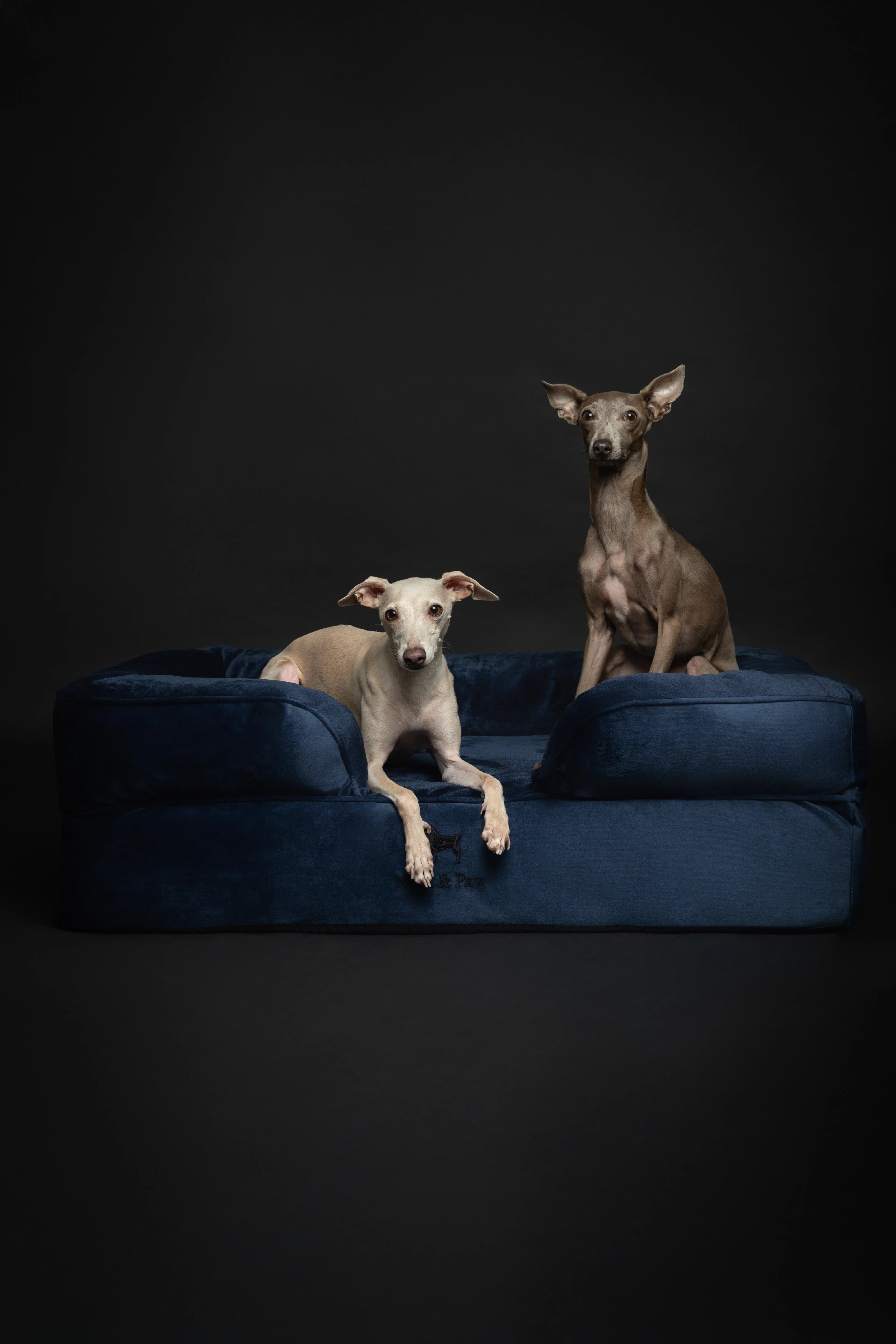 Velvet Orthopedic Pet Bed, Memory Foam, Infused with Cooling Gel