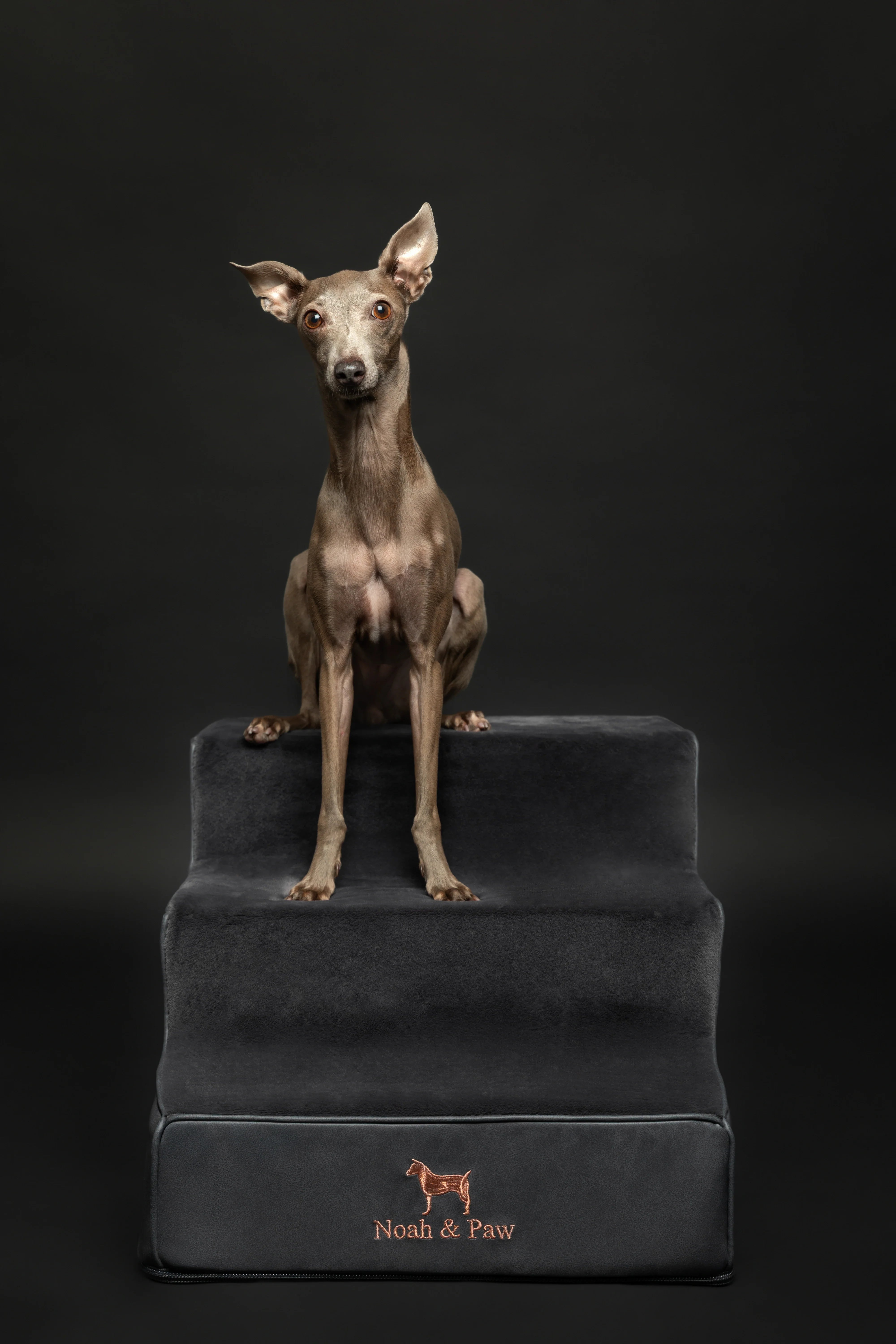 Luxury Dog Stairs for Bed, Faux Leather Collection, Black