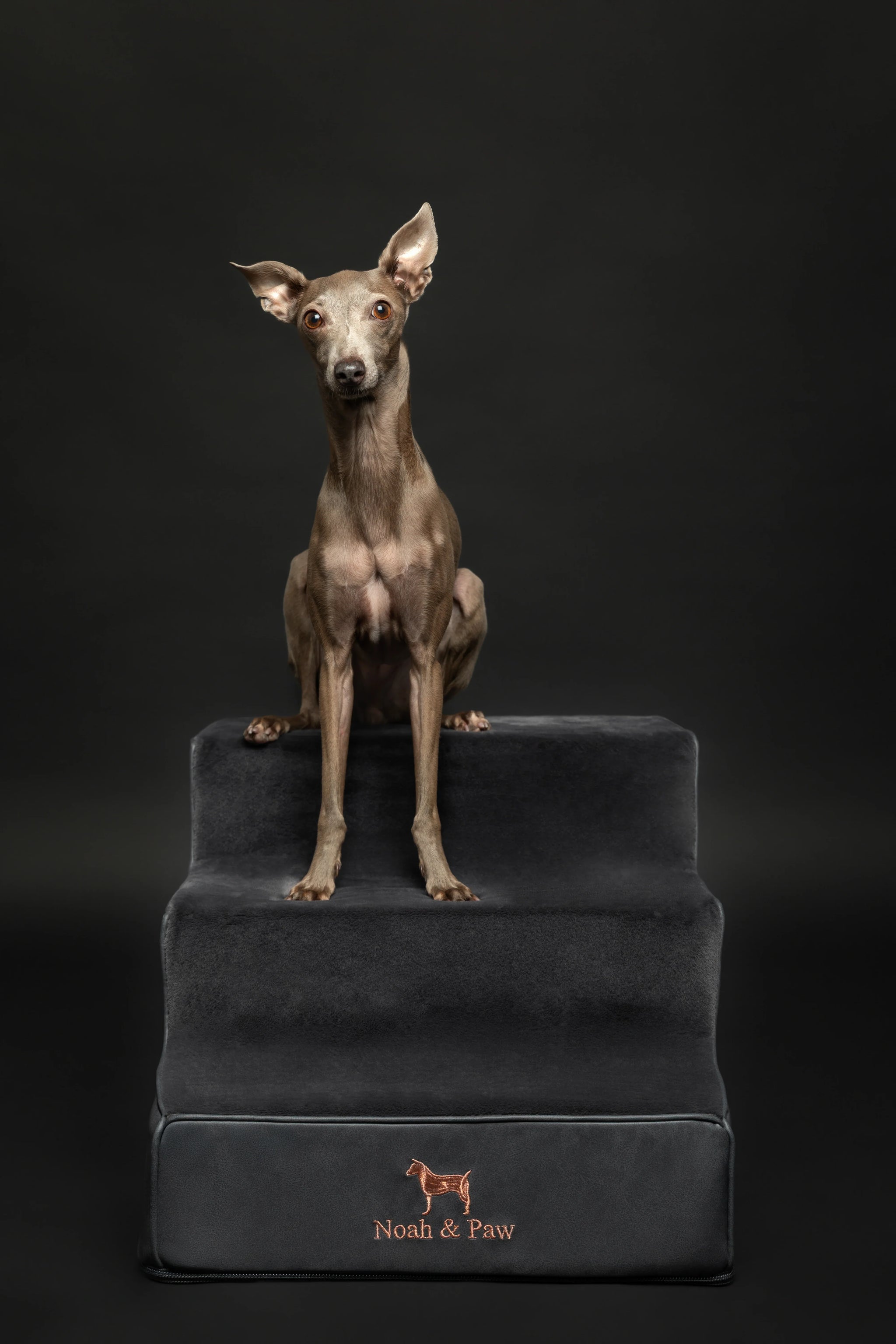 Luxury Dog Stairs for Bed, Faux Leather Collection, Black