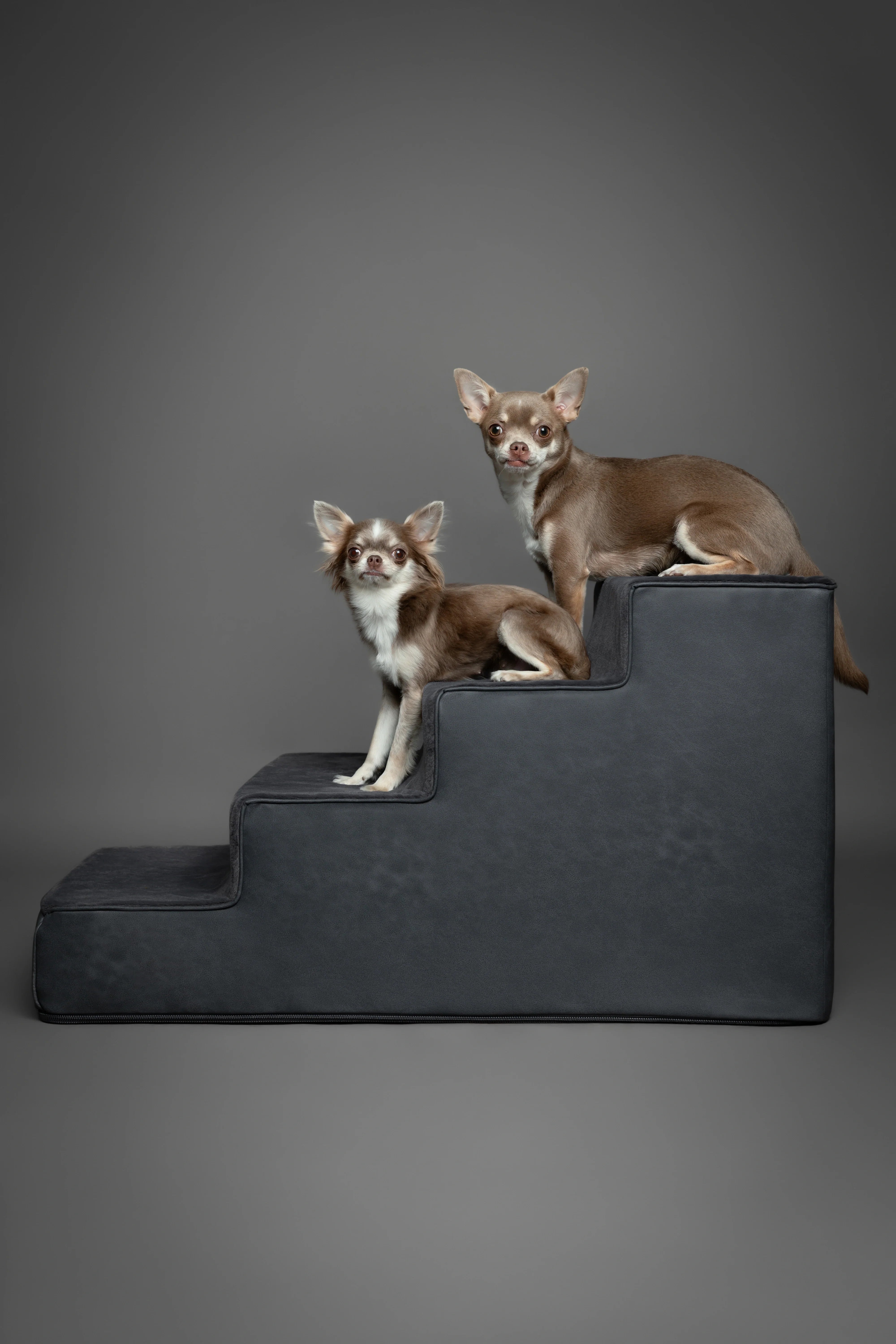 Luxury Dog Stairs for Bed, Faux Leather Collection, Black