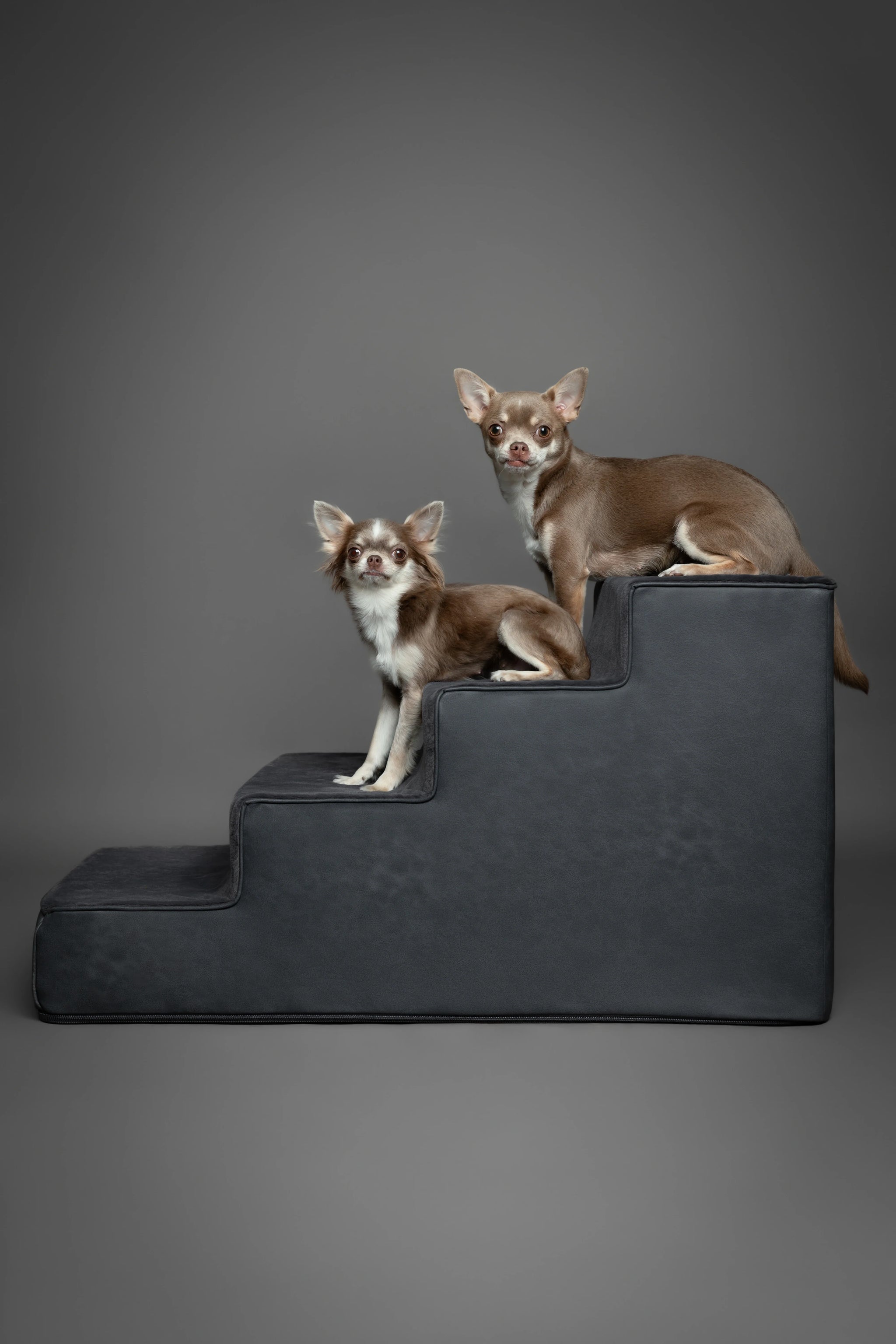 Luxury Dog Stairs for Bed, Faux Leather Collection, Black