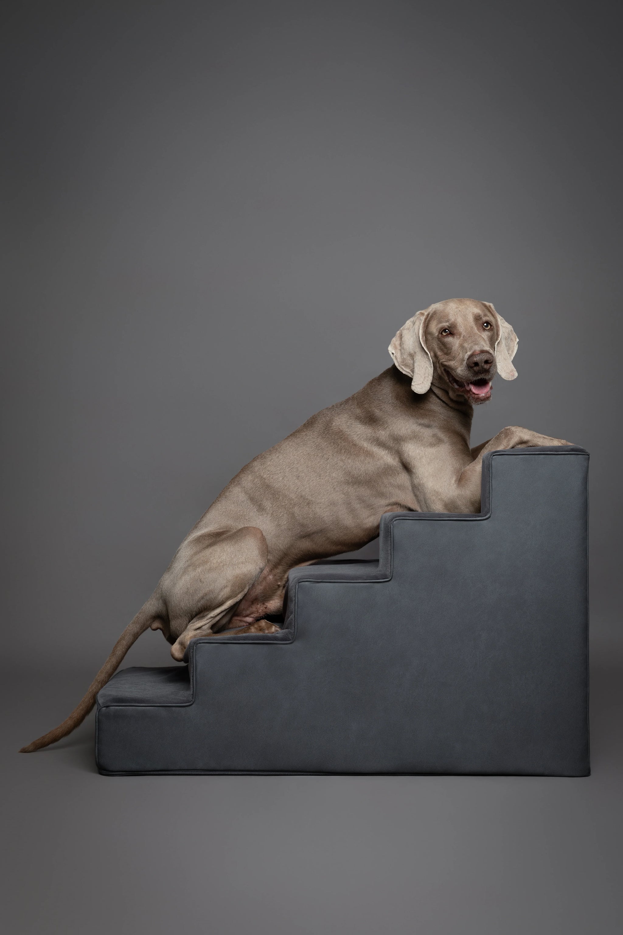 Luxury Dog Stairs for Bed, Faux Leather Collection, Black