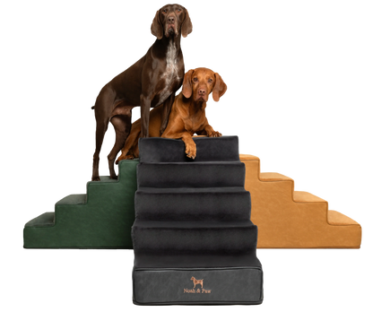 Luxury Dog Stairs For Bed | Faux Leather Pet Steps - Black - 5 Steps