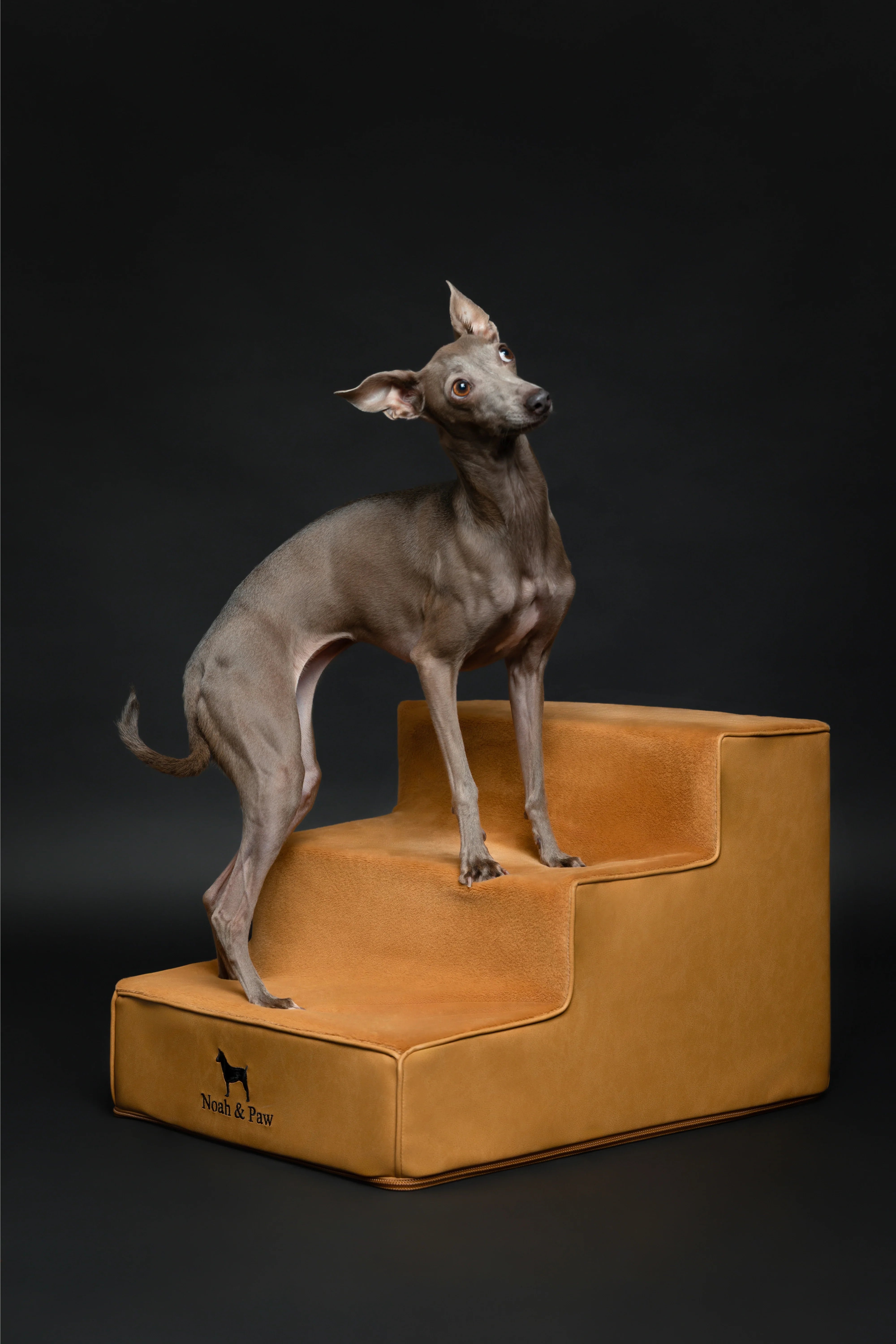 Luxury Dog Stairs for Bed, Faux Leather Collection, Camel