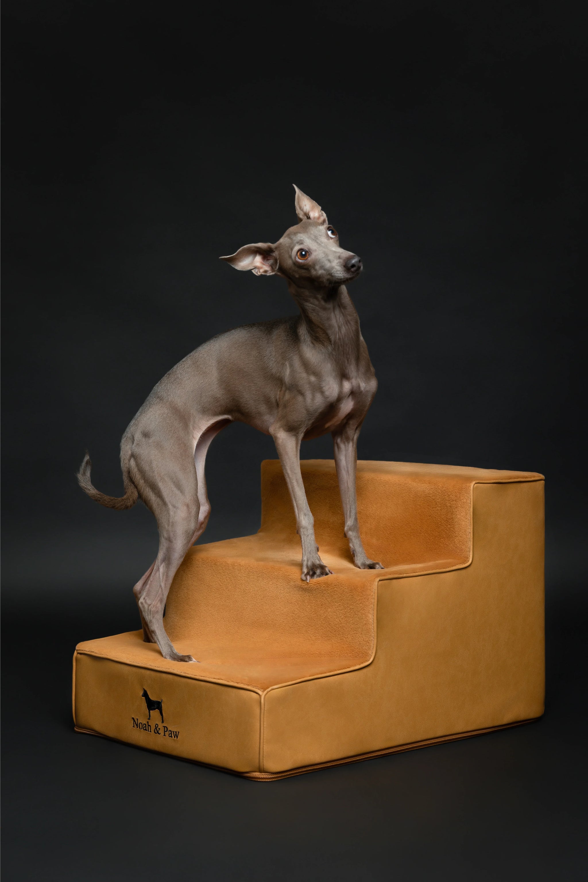 Luxury Dog Stairs for Bed, Faux Leather Collection, Camel