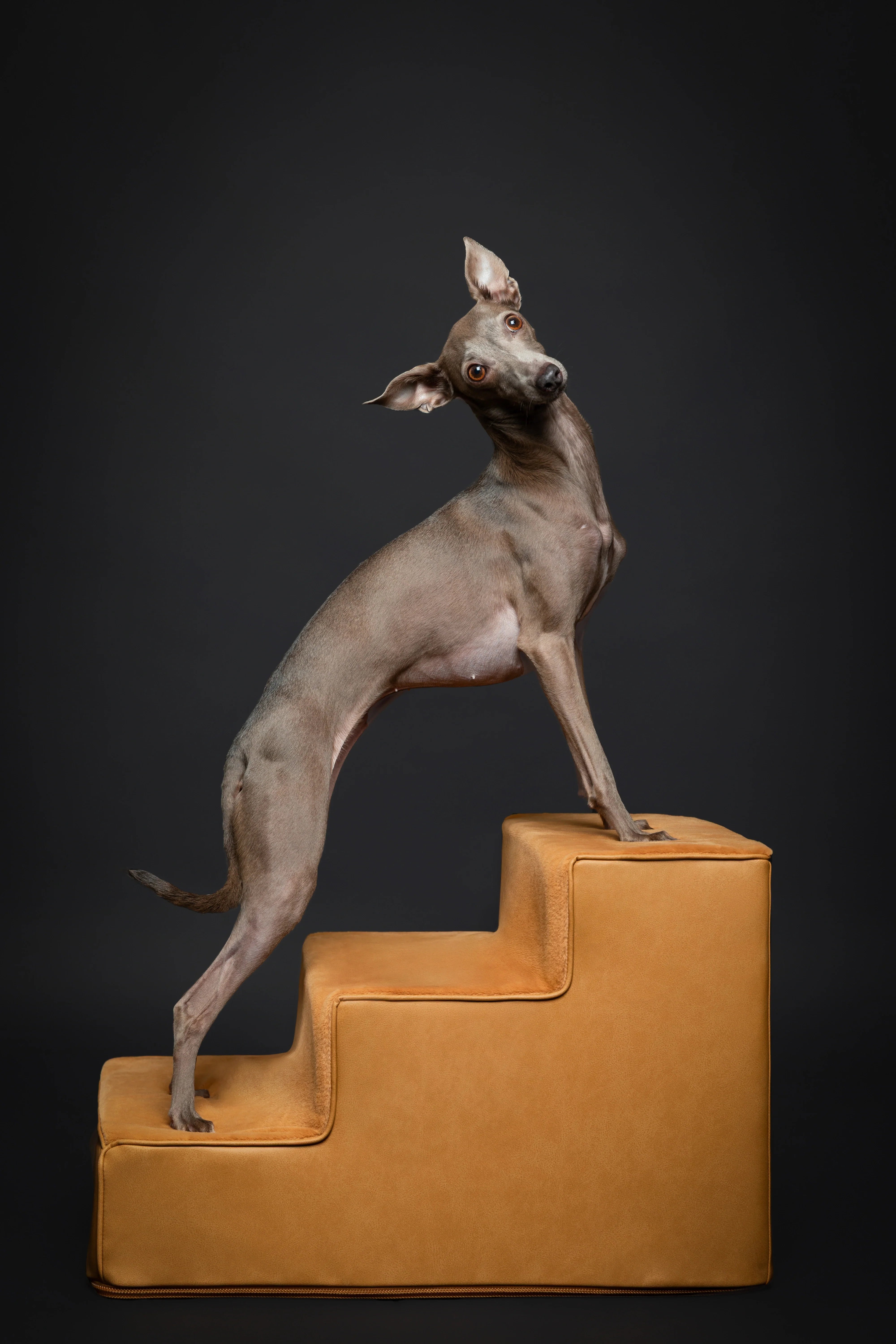 Luxury Dog Stairs for Bed, Faux Leather Collection, Camel