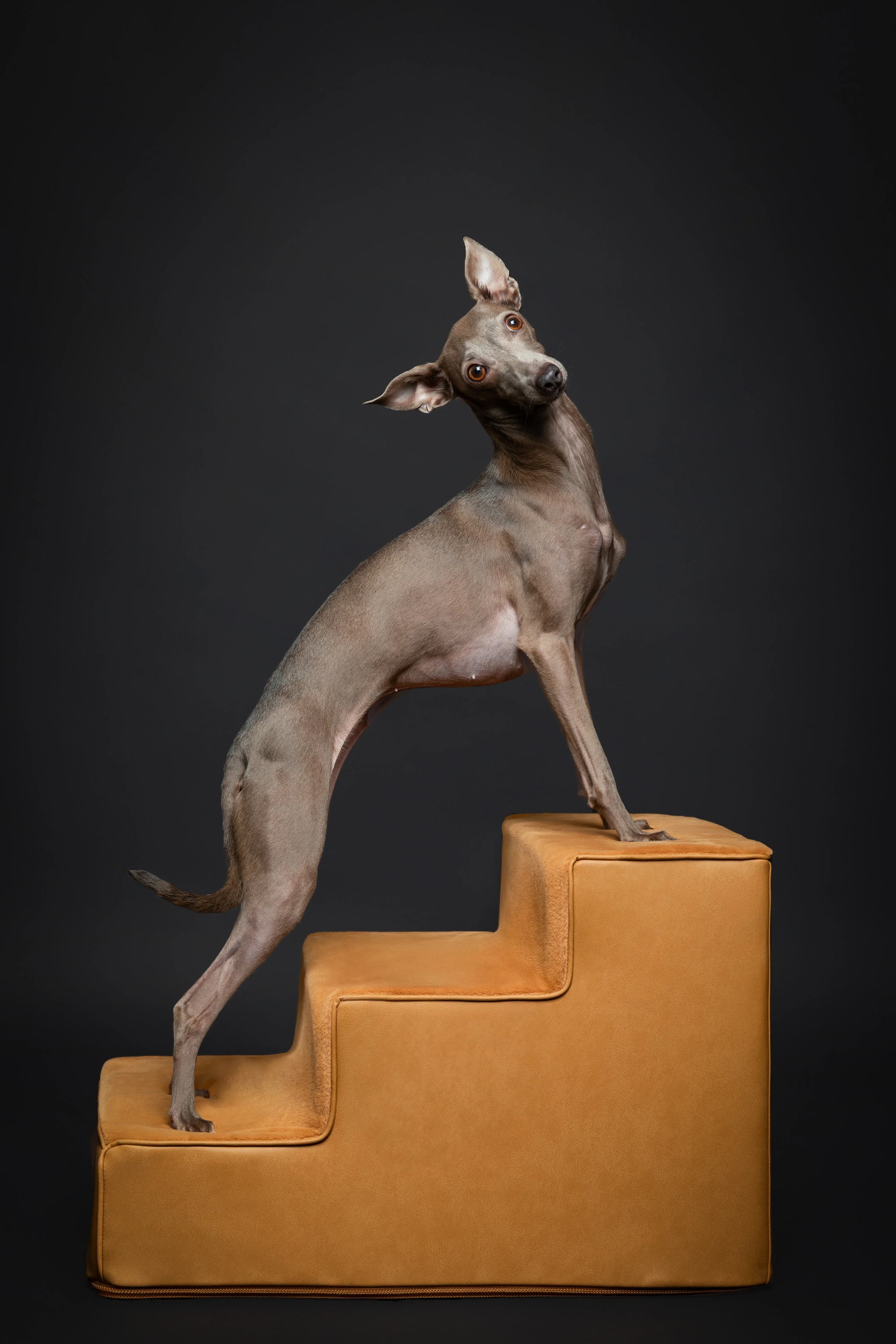 Luxury Dog Stairs for Bed, Faux Leather Collection, Camel