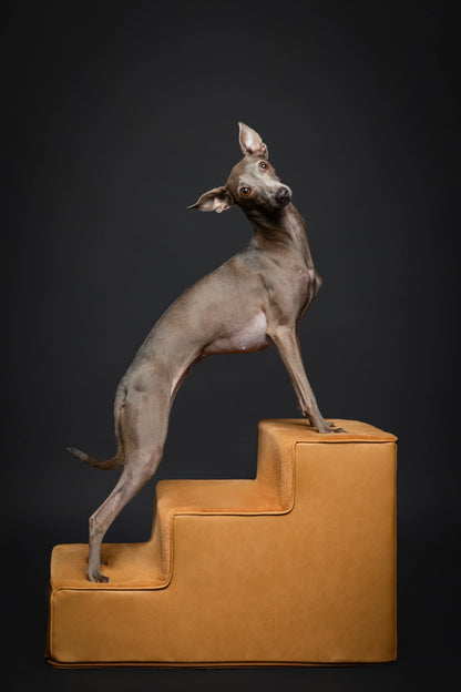 Luxury Dog Stairs for Bed, Faux Leather Collection, Camel