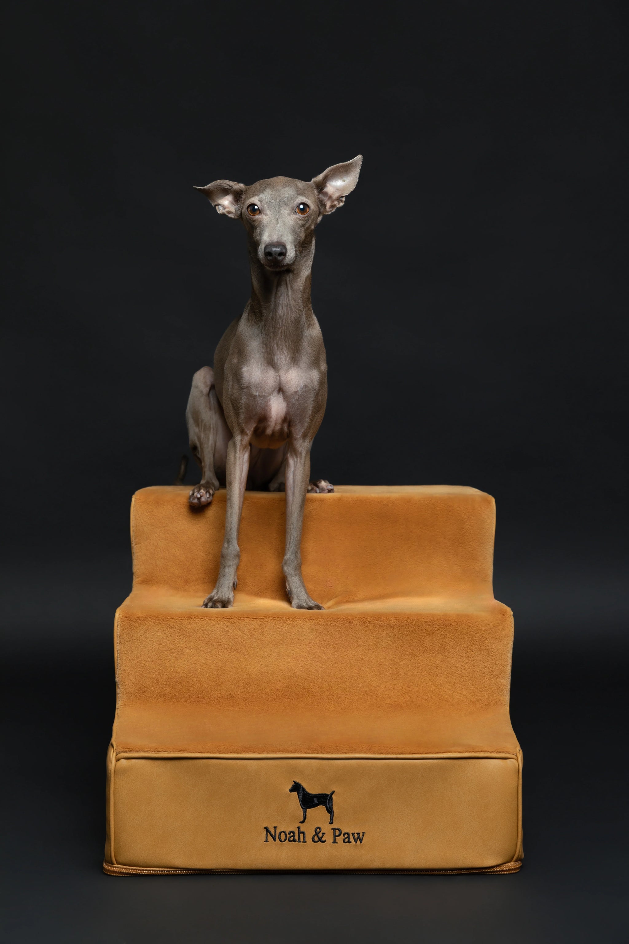 Luxury Dog Stairs for Bed, Faux Leather Collection, Camel