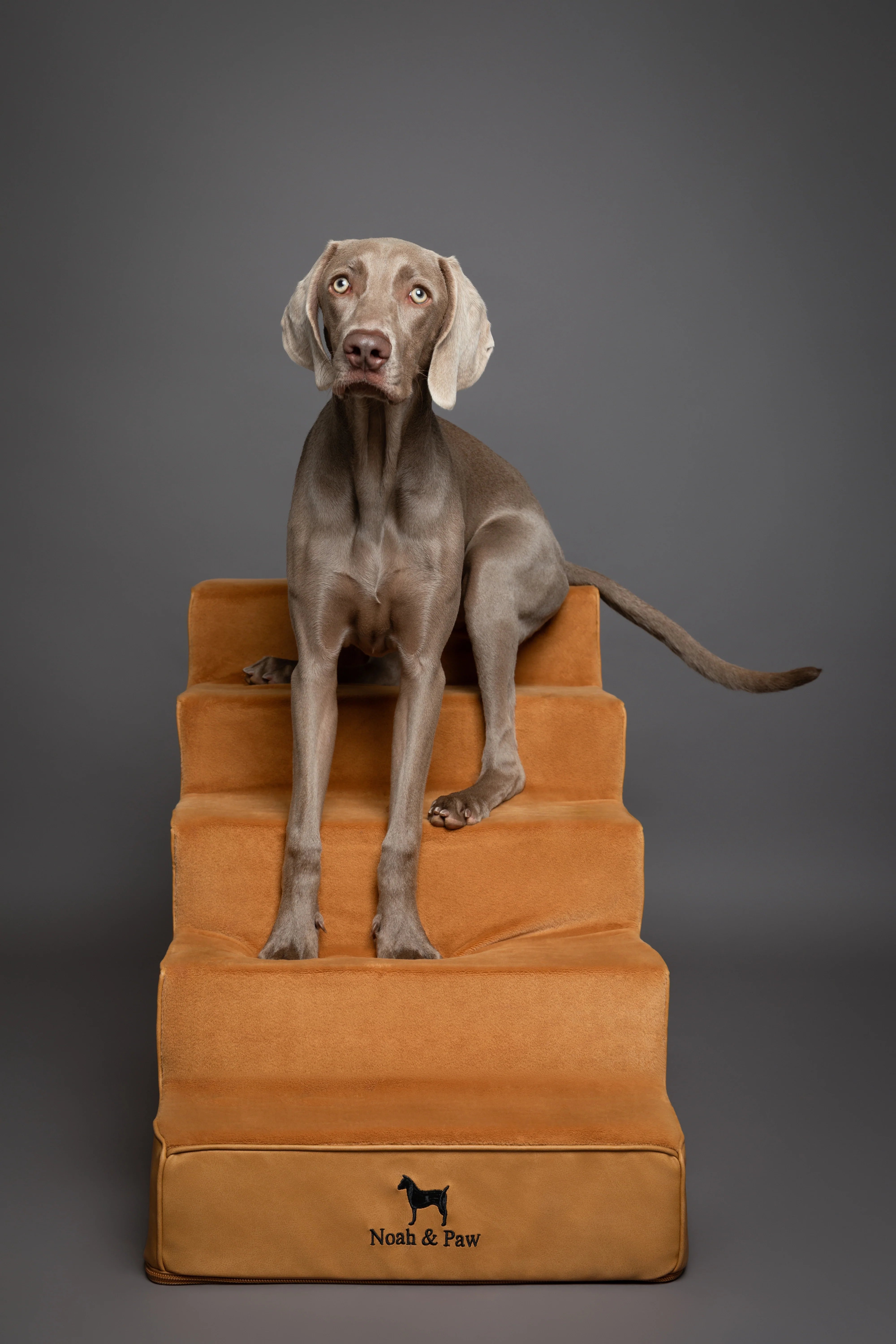 Luxury Dog Stairs for Bed, Faux Leather Collection, Camel
