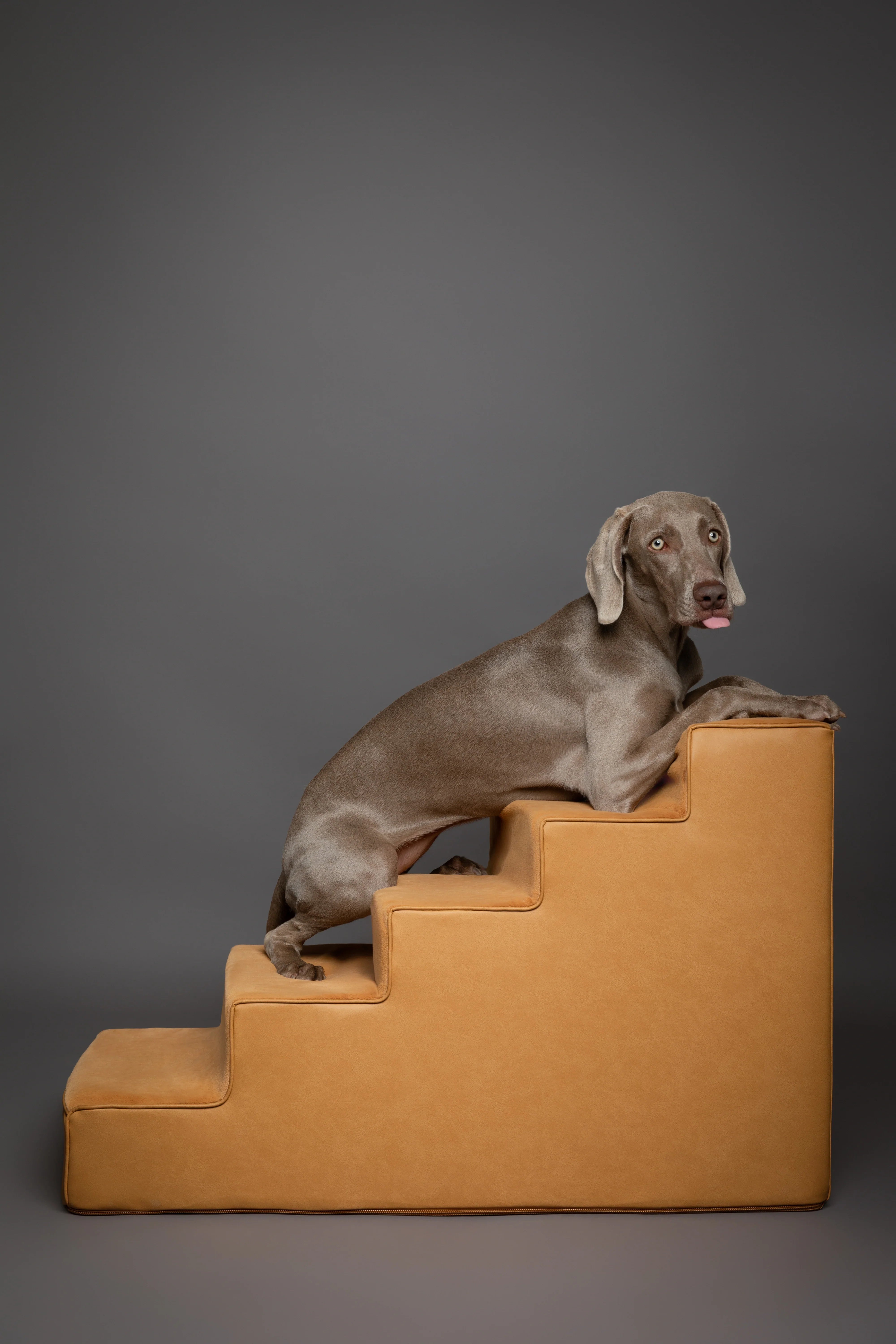 Luxury Dog Stairs for Bed, Faux Leather Collection, Camel