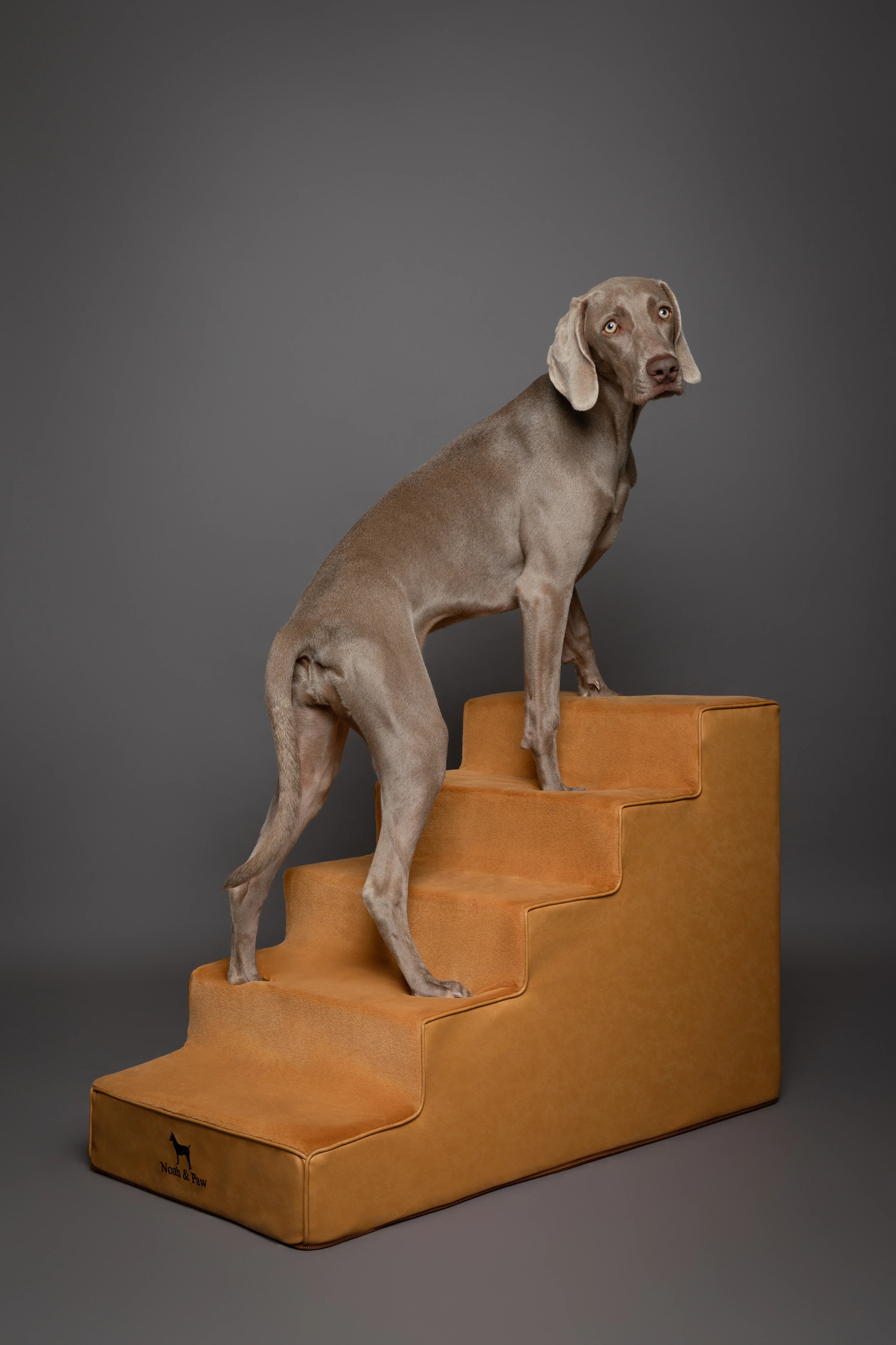 Luxury Dog Stairs for Bed, Faux Leather Collection, Camel