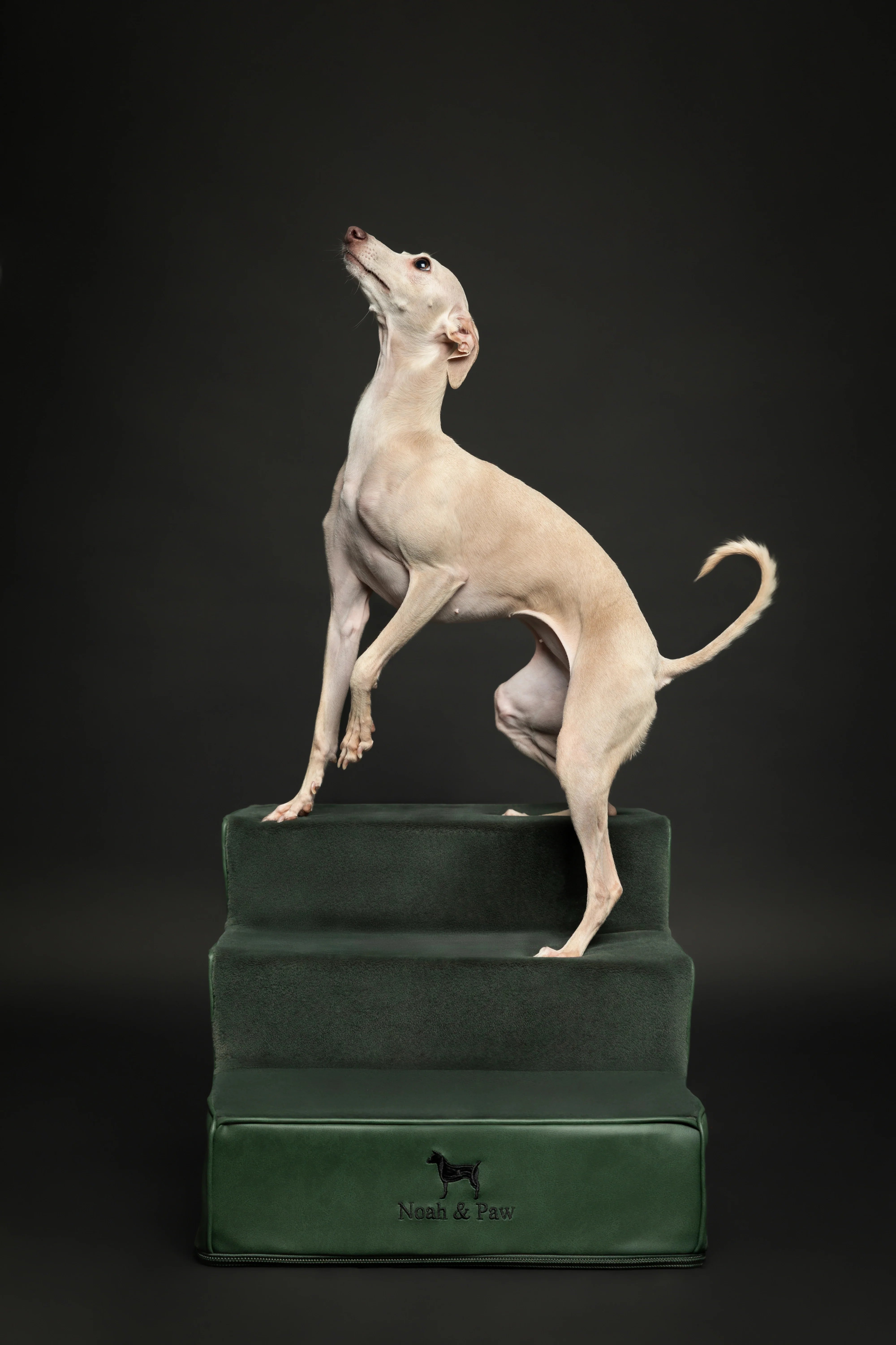 Luxury Dog Stairs for Bed, Faux Leather Collection, Dark Green