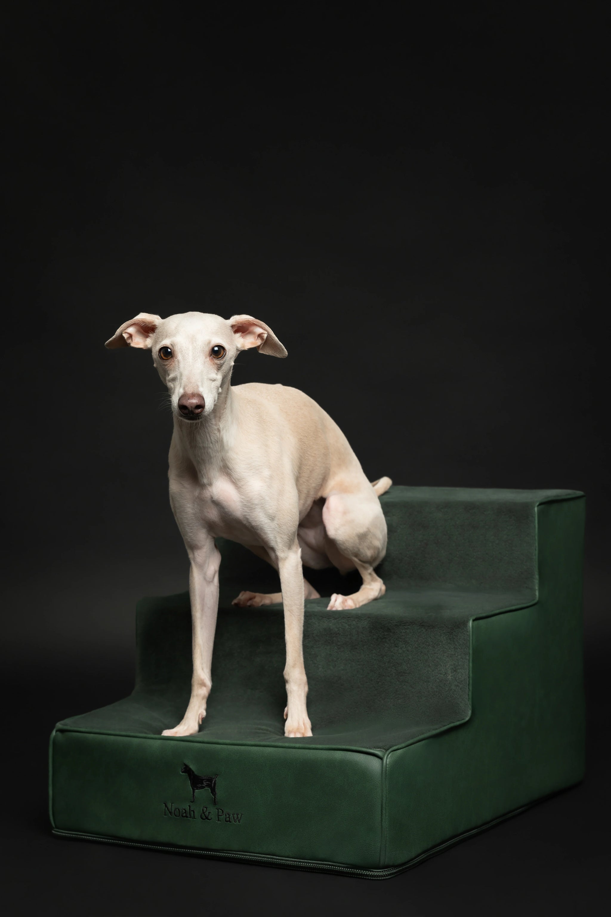 Luxury Dog Stairs for Bed, Faux Leather Collection, Dark Green