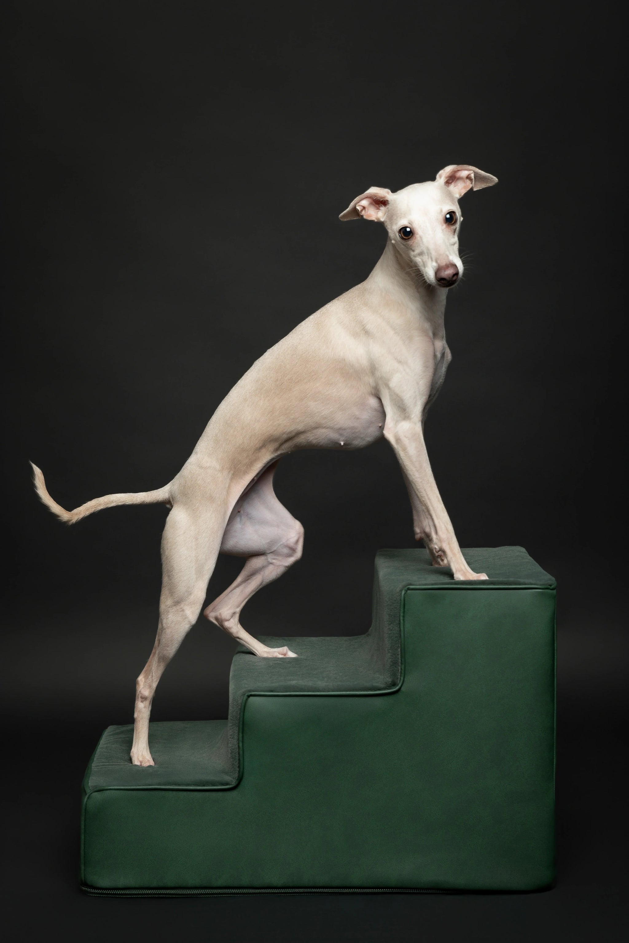 Luxury Dog Stairs for Bed, Faux Leather Collection, Dark Green