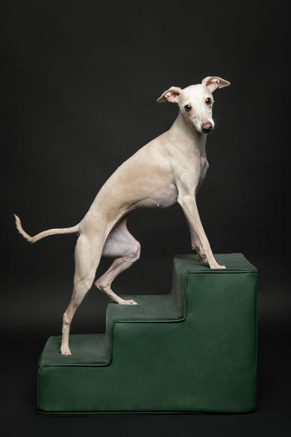 Luxury Dog Stairs for Bed, Faux Leather Collection, Dark Green