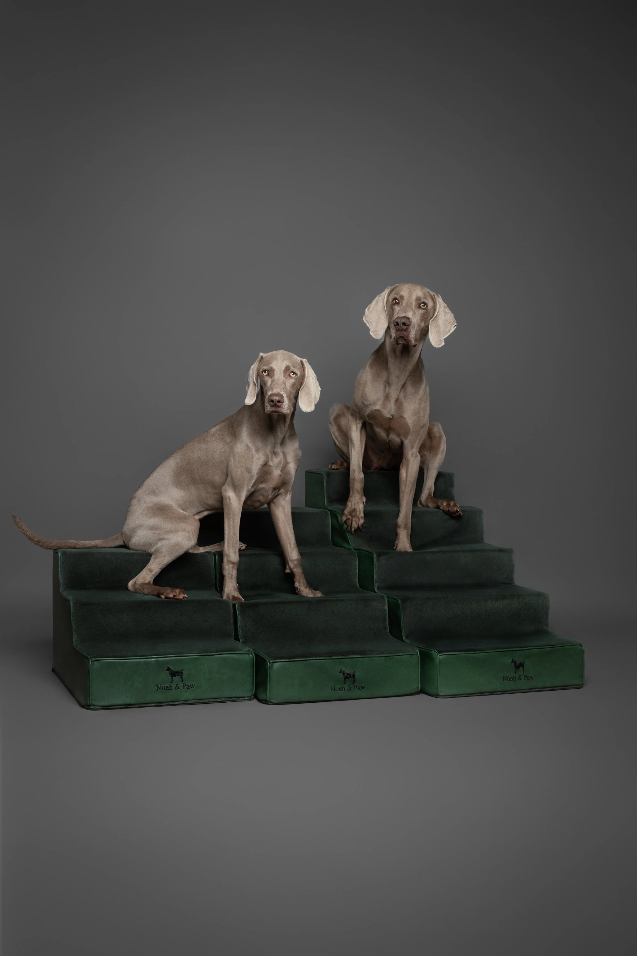 Luxury Dog Stairs for Bed, Faux Leather Collection, Dark Green