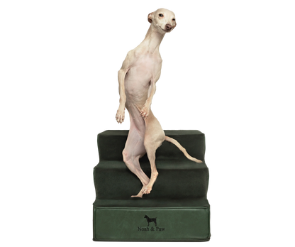 Luxury Dog Stairs For Bed | Faux Leather Pet Steps - Green - 3 Steps