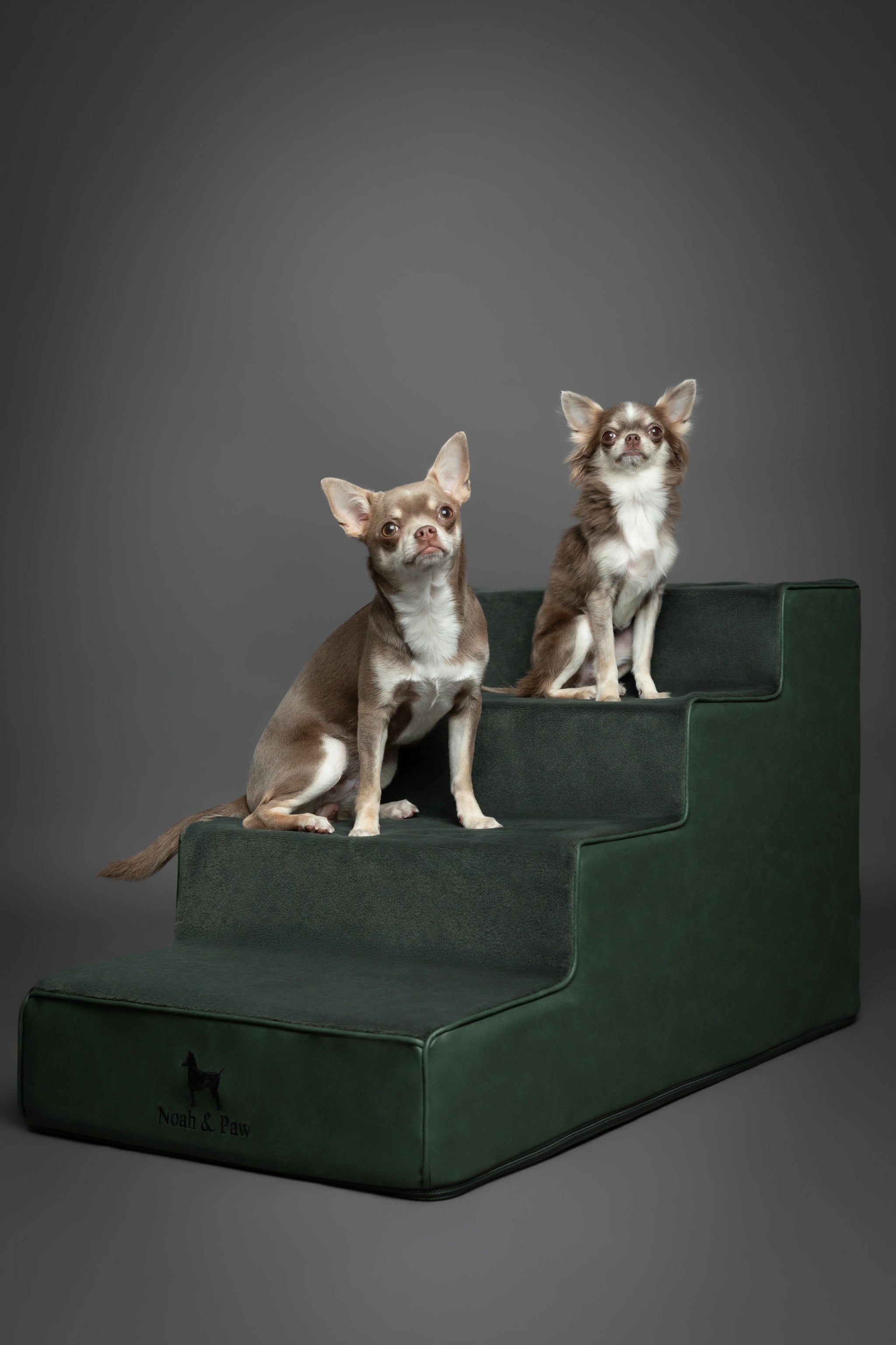 Luxury Dog Stairs for Bed, Faux Leather Collection, Dark Green