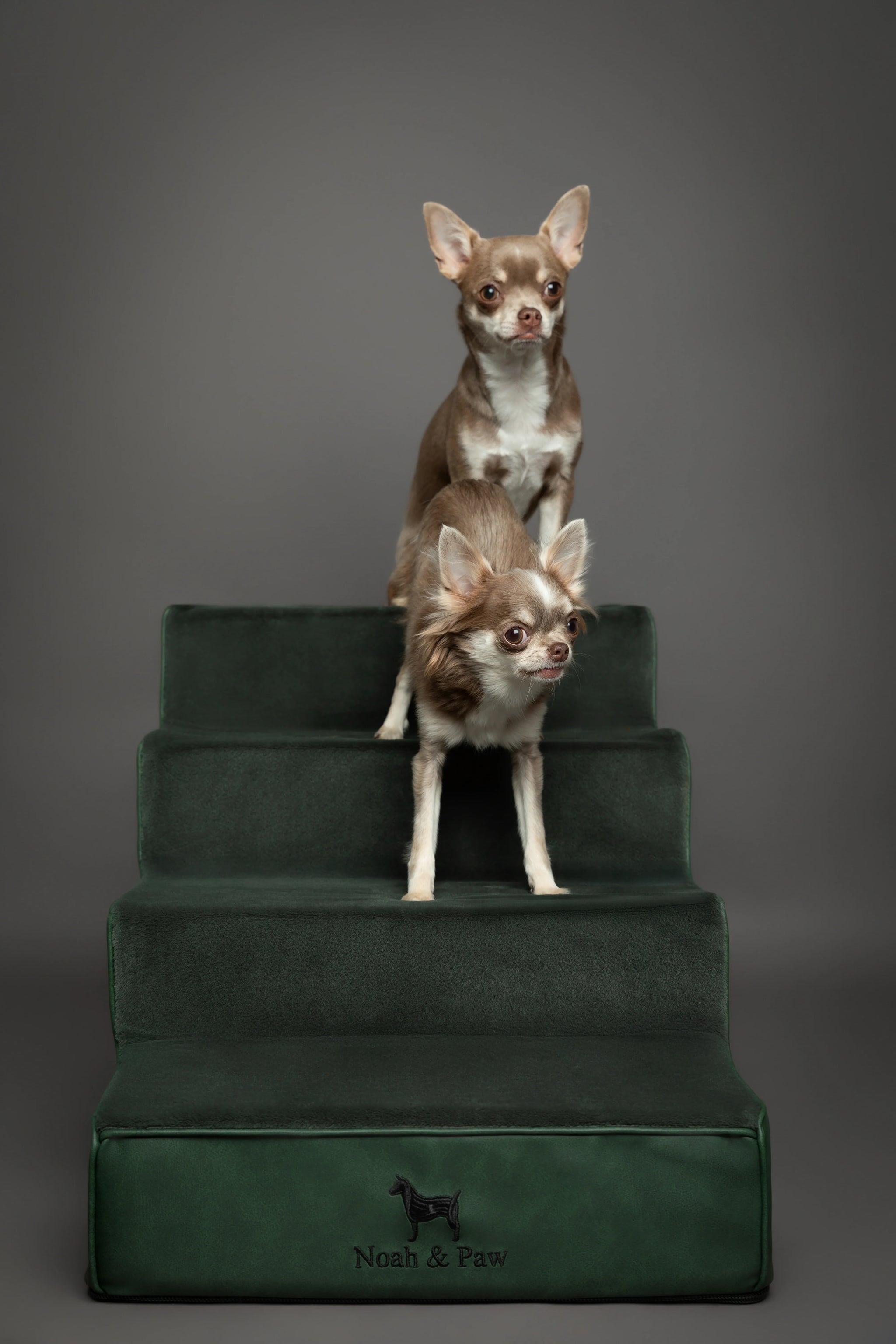 Luxury Dog Stairs for Bed, Faux Leather Collection, Dark Green