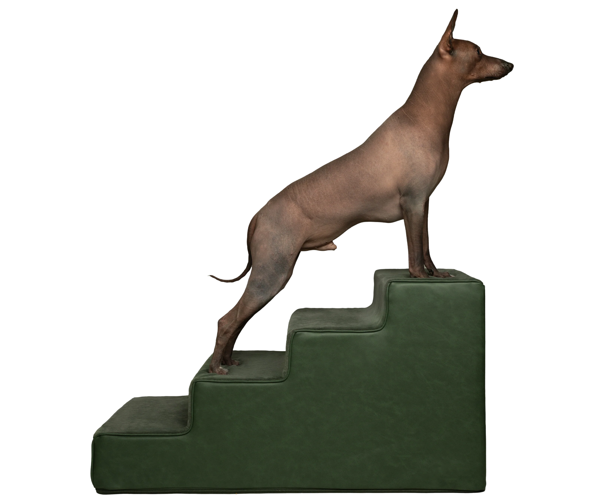 Luxury Dog Stairs For Bed | Faux Leather Pet Steps - Green - 4 Steps